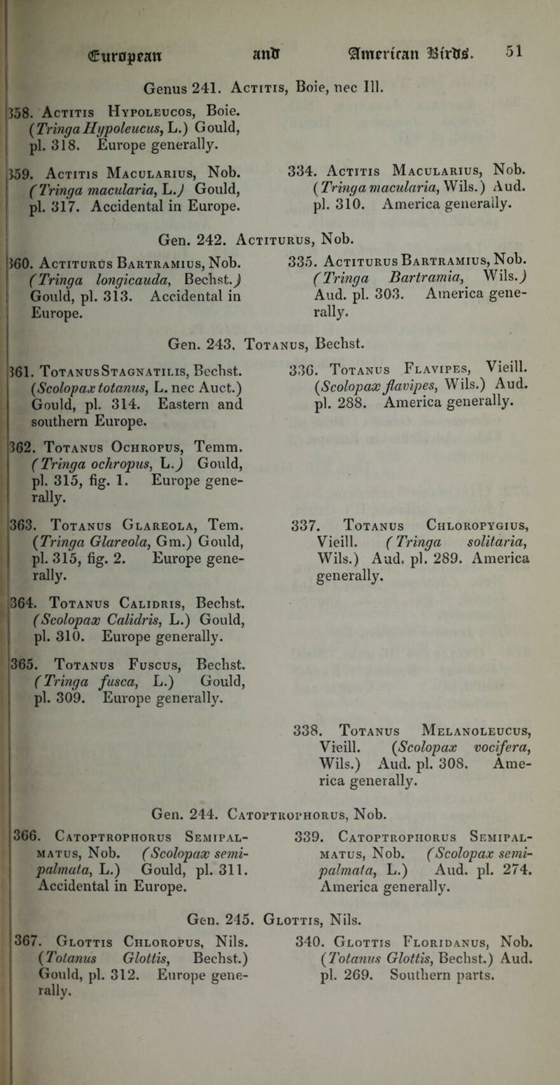 Genus 241. Actitis, Boie, nec 111. 358. Actitis Hypoleucos, Boie. (Tringa Hgpoleucus, L.) Gould, pi. 318. Europe generally. 359. Actitis Macularius, Nob. (7'ringa macularia,h.J Gould, pi. 317. Accidental in Europe. 334. Actitis Macularius, Nob. ( Tringa macularia, Wils.) Aud. pi. 310. America generally. Gen. 242. Actiturus, Nob. 360. Actiturus Bartramius, Nob. (Tringa longicauda, Becbst.J Gould, pi. 313. Accidental in Europe. 335. Actiturus Bartramius, Nob. (Tringa Bartramia, Wils.,) Aud. pi. 303. America gene- rally. Gen. 243, Totanus, Bechst. 361. Totanus Stagnatilis, Bechst. (Scolopax totanus, L. nec Auct.) Gould, pi. 314. Eastern and southern Europe. 362. Totanus Ochropus, Temm. (Tringa ochropus, L.) Gould, pi. 315, fig. 1. Europe gene- rally. 336. Totanus Flavipes, Vieill. (Scolopaxflavipes, Wils.) Aud. pi. 288. America generally. 363. Totanus Glareola, Tern. (Tringa Glareola, Gm.) Gould, pi. 315, fig. 2. Europe gene- rally. 364. Totanus Calidris, Bechst. (Scolopax Calidris, L.) Gould, pi. 310. Europe generally. 365. Totanus Fuscus, Bechst. (Tringa fusca, L.) Gould, pi. 309. Europe generally. 337. Totanus Chloropygius, Vieill. (Tringa solitaria, Wils.) Aud. pi. 289. America generally. 338. Totanus Melanoleucus, Vieill. (/Scolopax vocifera, Wils.) Aud. pi. 308. Ame- rica generally. Gen. 244. Catoptrophorus, Nob. 366. Catoptrophorus Semipal- matus, Nob. (>Scolopax semi- palmata, L.) Gould, pi. 311. Accidental in Europe. 339. Catoptrophorus Semipal- matus, Nob. (Scolopax semi- palmafa, L.) Aud. pi. 274. America generally. Gen. 215. Glottis. Nils. 367. Glottis Chloropus, Nils. (Totanus Glottis, Bechst.) Gould, pi. 312. Europe gene- rally. 340. Glottis Floridanus, Nob. (Totanus Glottis, Bechst.) Aud. pi. 269. Southern parts.