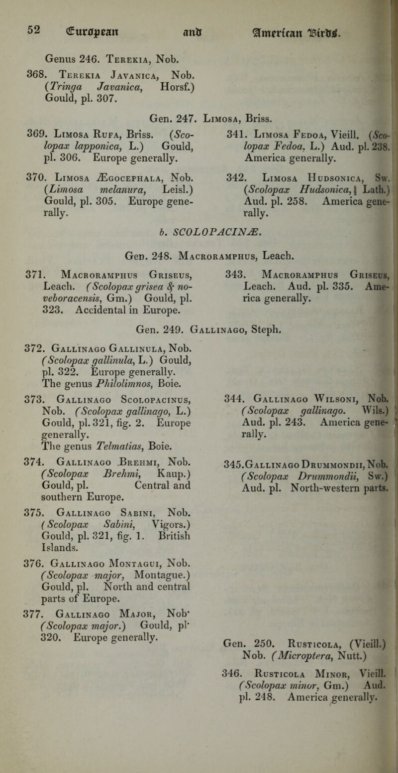Genus 246. Terekia, Nob. 368. Terekia Javanica, Nob. (Tringa Javanica, Horsf.) Gould, pi. 307. Gen. 247. 369. Limosa Rufa, Briss. (Sco- lopax lapponica, L.) Gould, pi. 306. Europe generally. 370. Limosa jEgocefhala, Nob. (Limosa melanura, Leisl.) Gould, pi. 305. Europe gene- rally. Limosa, Briss. 341. Limosa Fedoa, Vieill, (Sco- lopax Fedoa. L.) Aud. pi. 238. America generally. 342. Limosa Hudsonica, Sw. {Scolopax Hudsonica, | Lath.) Aud. pi. 258. America gene- rally. b. SCOLOPACINjE. Gen. 248. Macroramphus, Leach. 371. Macroramphus Griseus, 343. Macroramphus Griseus, Leach. (Scolopax grisea 8f no- Leach. Aud. pi. 335. Ame- veboracensis, Gm.) Gould, pi. rica generally. 323. Accidental in Europe. Gen. 249. Gallinago, Steph. 372. Gallinago Gallinula, Nob. (Scolopax gallinula, L.) Gould, pi. 322. Europe generally. The genus Philolimnos, Boie. 373. Gallinago Scolopacinus, Nob. (Scolopax gallinago, L.) Gould, pi. 321, fig. 2. Europe generally. The genus Telmatias, Boie. 374. Gallinago Brehmi, Nob. (Scolopax Brehmi, Kaup.) Gould, pi. Central and southern Europe. 375. Gallinago Sabini, Nob. (Scolopax Sabini, Vigors.) Gould, pi. 321, fig. 1. British Islands. 376. Gallinago Montagui, Nob. (Scolopax major, Montague.) Gould, pi. North and central parts of Europe. 377. Gallinago Major, Nob' (Scolopax major.) Gould, pi' 320. Europe generally. 344. Gallinago Wilsoni, Nob. (Scolopax gallinago. Wils.) V Aud. pi. 243. America gene- rally. 345. Gallinago Drummondii, Nob. (Scolopax Drummondii, Sw.) Aud. pi. North-western parts. Gen. 250. Rusticola, (Vieill.) Nob. (Microptera, Nutt.) 346. Rusticola Minor, Vieill. (Scolopax minor, Gm.) Aud. pi. 248. America generally.