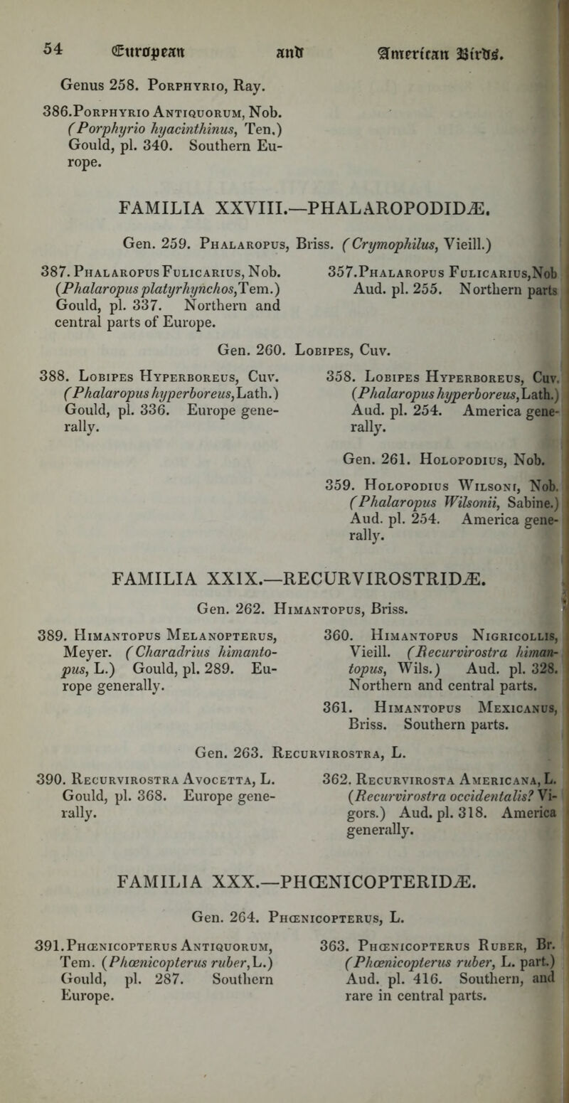 Genus 258. Porphyrio, Ray. 386. Porphyrio Antiquorum, Nob. (Porphyrio hyacinthinus, Ten.) Gould, pi. 340. Southern Eu- rope. FAMILTA XXVIII.—PHALAROPODIDiE. Gen. 259. Phalaropus, Bliss. (Crymophilus, Vieill.) 387. PiialaropusFulicarius, Nob. 357.Phalaropus Fulicarius,No1) ’ (Phalaropus platyrhynchos,Tem.) Aud. pi. 255. Northern parts \ Gould, pi. 337. Northern and central parts of Europe. Gen. 260. Lobipes, Cuv. 358. Lobipes Hyperboreus, Cuv. i (Phalaropus hyperboreus, Lath.) Aud. pi. 254. America gene- i rally. Gen. 261. Holopodius, Nob. 359. Holopodius Wilsoni, Nob. (Phalaropus Wilsonii, Sabine.) Aud. pi. 254. America gene- rally/ L FAMILIA XXIX.—RECURVIROSTRIDrE. Gen. 262. Himantopus, Briss. 360. Himantopus Nigricollis, I Vieill. (Becurvirostra himan- 1 topus, Wils.) Aud. pi. 328. Northern and central parts. 361. Himantopus Mexicanus, | Briss. Southern parts. Gen. 263. Recurvirostra, L. 390. Recurvirostra Avocetta, L. 362. Recurvirosta Americana, L. Gould, pi. 368. Europe gene- (Recurvirostra occidentalis? Vi- rally. gors.) Aud. pi. 318. America generally. 389. Himantopus Melanopterus, Meyer. (Charadrius himanto- pus, L.) Gould, pi. 289. Eu- rope generally. 388. Lobipes Hyperboreus, Cuv. (Phalaropus hyperboreus, Lath.) Gould, pi. 336. Europe gene- rally. FAMILIA XXX.—PHCENICOPTERID^S. Gen. 264. Phcenicopterus, L. 391.Phcenicopterus Antiquorum, Tem. ( Phoenicopterus ruber, L.) Gould, pi. 287. Southern Europe. 363. Phcenicopterus Ruber, Br. (Phoenicopterus ruber, L. part) Aud. pi. 416. Southern, and rare in central parts.
