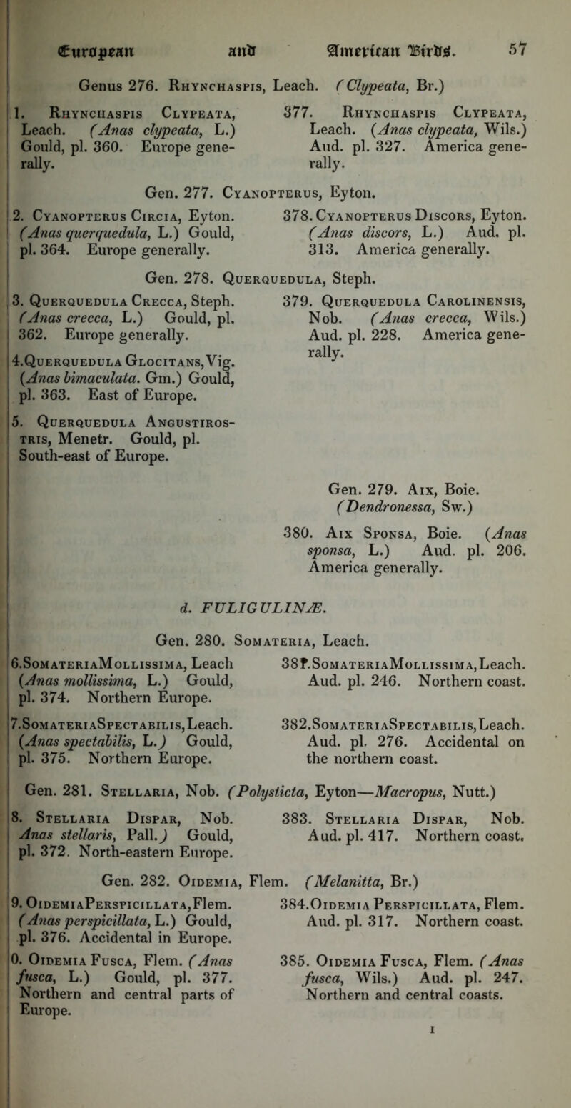 Genus 276. Rhynchaspis, Leach. (Clypeata, Br.) 1. Rhynchaspis Clypeata, Leach. (Anas clypeata, L.) Gould, pi. 360. Europe gene- rally. 377. Rhynchaspis Clypeata, Leach. (Anas clypeata, Wils.) And. pi. 327. America gene- rally. Gen. 277. Cyanopterus, Eyton. 2. Cyanopterus Circia, Eyton. 378. Cyanopterus Discors, Eyton. (Anas querquedula, L.) Gould, (Anas discors, L.) Aud. pi. pi. 364. Europe generally. 313. America generally. Gen. 278. Querquedula, Steph. . 3. Querquedula Crecca, Steph. (Anas crecca, L.) Gould, pi. i 362. Europe generally. i 4.QUERQUEDULA GLOCITANS,Vig. {Anas bimaculata. Gm.) Gould, pi. 363. East of Europe. 5. Querquedula Angustiros- tris, Menetr. Gould, pi. South-east of Europe. 379. Querquedula Carolinensis, Nob. (Anas crecca, Wils.) Aud. pi. 228. America gene- rally. Gen. 279. Aix, Boie. (Dendronessa, Sw.) 380. Aix Sponsa, Boie. {Anas sponsa, L.) Aud. pi. 206. America generally. d. FULIG ULINjE. Gen. 280. Somateria, Leach. 6.SomateriaMollissima, Leach 38F.SomateriaMollissima,Leach. {Anas mollissima, L.) Gould, Aud. pi. 246. Northern coast, pi. 374. Northern Europe. 7.Som ateri aSpect abilis, Leach. {Anas spectabilis, L.) Gould, pi. 375. Northern Europe. 382.SomateriaSpectabilis, Leach. Aud. pi. 276. Accidental on the northern coast. Gen. 281. Stellaria, Nob. (Polysticta, Eyton—Macropus, Nutt.) 8. Stellaria Dispar, Nob. Anas stellaris, Pall. J Gould, pi. 372. North-eastern Europe. Gen. 282. Oidemia, 9. OlDEMIAPERSPICILLATA,Flem. (Anas perspicillata, L.) Gould, pi. 376. Accidental in Europe. 0. Oidemia Fusca, Flem. (Anas fnsca, L.) Gould, pi. 377. Northern and central parts of Europe. 383. Stellaria Dispar, Nob. Aud. pi. 417. Northern coast. Flem. (Melanitta, Br.) 384.0idemia Perspicillata, Flem. Aud. pi. 317. Northern coast. 385. Oidemia Fusca, Flem. (Anas fusca, Wils.) Aud. pi. 247. Northern and central coasts.
