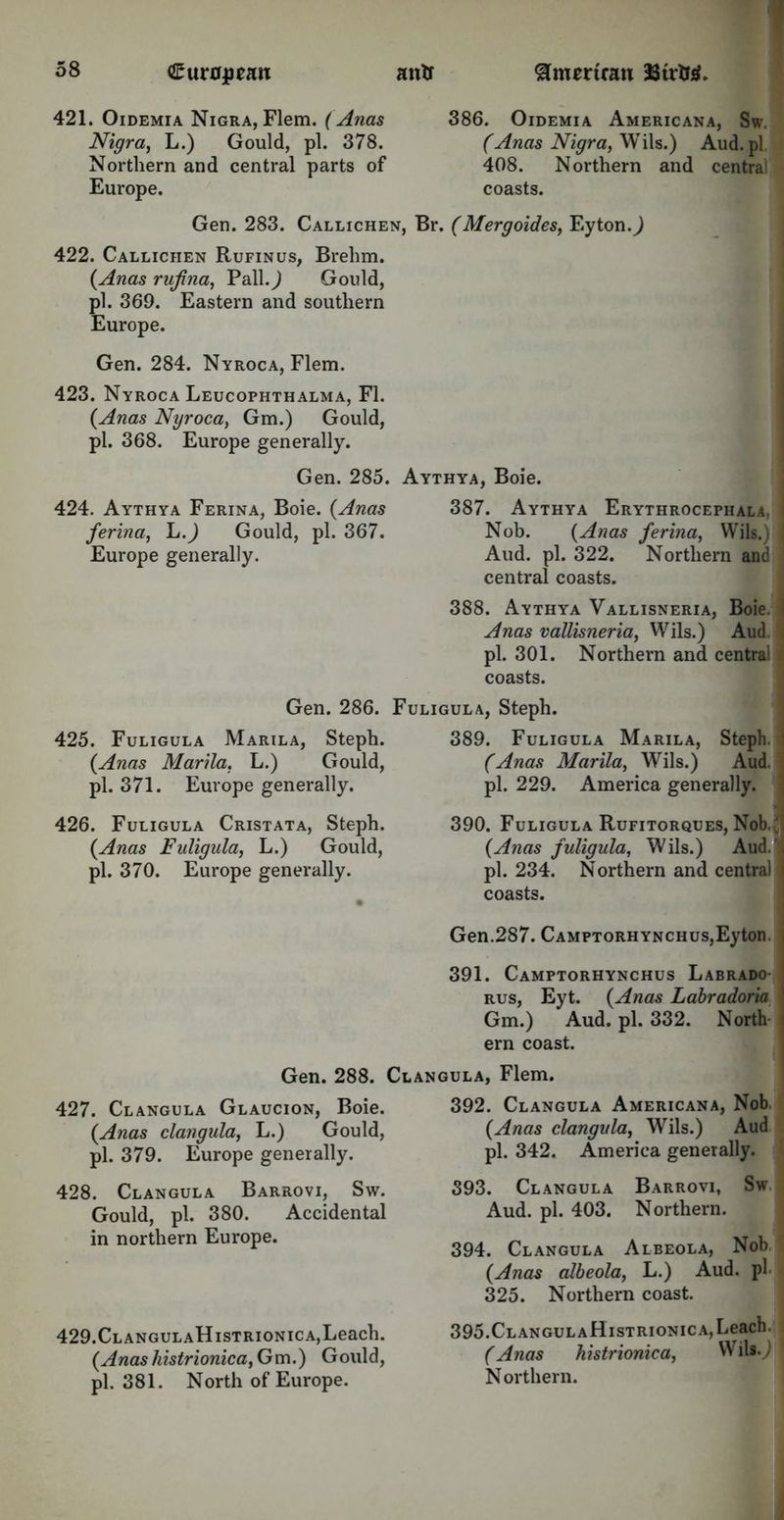 421. Oidemia Nigra, Flem. (Anas Nigra, L.) Gould, pi. 378. Northern and central parts of Europe. Gen. 283. Callichen, 422. Callichen Rufinus, Brehm. {Anas rufina, Pall.,) Gould, pi. 369. Eastern and southern Europe. Gen. 284. Nyroca, Flem. 423. Nyroca Leucophthalma, FI. (Anas Nyroca, Gm.) Gould, pi. 368. Europe generally. Gen. 285. 424. Aythya Ferina, Boie. {Anas ferina, L.) Gould, pi. 367. Europe generally. 386. Oidemia Americana, Sw. (Anas Nigra, Wils.) Aud. pi 408. Northern and central coasts. Br. (Mergoides, Eyton.J Aythya, Boie. 387. Aythya Erythrocephala, ; Nob. {Anas ferina, Wils.) 1 Aud. pi. 322. Northern and j central coasts. 388. Aythya Vallisneria, Boie. Anas vallisneria, Wils.) Aud pi. 301. Northern and centra! coasts. Gen. 286. Fuligula, Steph. 425. Fuligula Marila, Steph. {Anas Marila, L.) Gould, pi. 371. Europe generally. 426. Fuligula Cristata, Steph. {Anas Fuligula, L.) Gould, pi. 370. Europe generally. 389. Fuligula Marila, Steph. (Anas Marila, Wils.) Aud, . pi. 229. America generally. 390. Fuligula Rufitorques, Nob.;. {Anas fuligula, Wils.) Aud.', pi. 234. Northern and central i coasts. Gen.287. CAMPTORHYNCHus,Eyton. | 391. Camptorhynchus Labrado rus, Eyt. {Anas Labradoria Gm.) Aud. pi. 332. North ern coast. Gen. 288. Clangula, Flem. 427. Clangula Glaucion, Boie. {Anas clangula, L.) Gould, pi. 379. Europe generally. 428. Clangula Barrovi, Sw. Gould, pi. 380. Accidental in northern Europe. 429.CLANGULAHlSTRIONICA,Leach. {Anashistrionica, Gm.) Gould, pi. 381. North of Europe. 392. Clangula Americana, Nob, {Anas clangula, Wils.) Aud pi. 342. America generally. 393. Clangula Barrovi, Sw Aud. pi. 403. Northern. 394. Clangula Albeola, Nob {Anas albeola, L.) Aud. pi 325. Northern coast. 395. CLANGULAHlSTRIONICA,Leach. (Anas histrionica, WiU.j Northern.