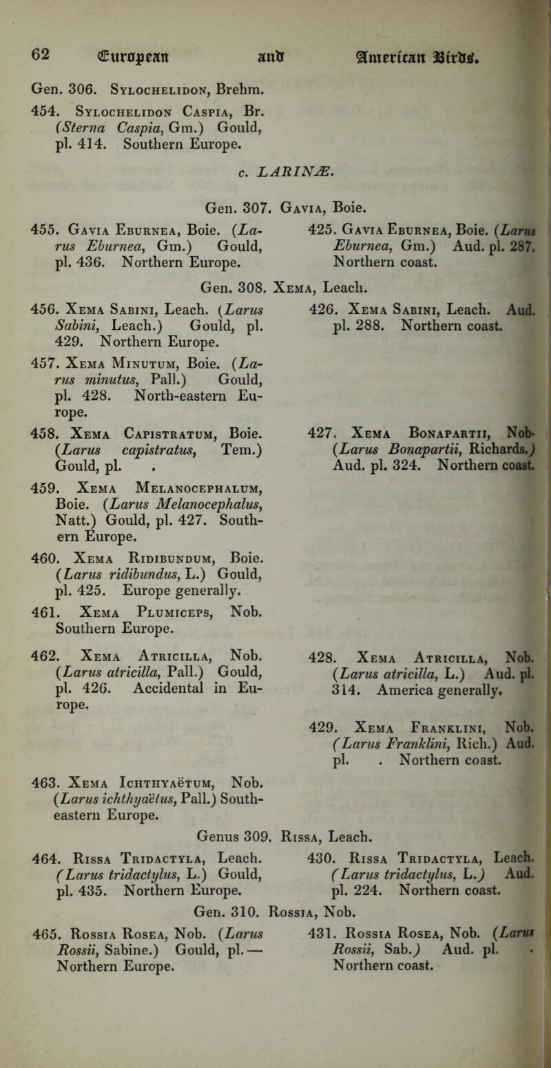 Gen. 306. Sylochelidon, Brehm. 454. Sylochelidon Caspia, Br. (Sterna Caspia, Gm.) Gould, pi. 414. Southern Europe. c. LARINJE. Gen. 307. Gavia, Boie. 455. Gavia Eburnea, Boie. (La- 425. Gavia Eburnea, Boie. (Larus rus Eburnea, Gm.) Gould, Eburnea, Gm.) Aud. pi. 287. pi. 436. Northern Europe. Northern coast. Gen. 308. Xema, Leach. 456. Xema Sabini, Leach. (Larus Sabini, Leach.) Gould, pi. 429. Northern Europe. 457. Xema Minutum, Boie. (La- rus minutus, Pall.) Gould, pi. 428. North-eastern Eu- rope. 458. Xema Capistratum, Boie. (Larus capistratus, Tem.) Gould, pi. 459. Xema Melanocephalum, Boie. (Larus Melanocephalus, Natt.) Gould, pi. 427. South- ern Europe. 460. Xema Ridibundum, Boie. (Larus ridibundus, L.) Gould, pi. 425. Europe generally. 461. Xema Plumiceps, Nob. Southern Europe. 426. Xema Sabini, Leach. Aud. pi. 288. Northern coast. 427. Xema Bonapartii, Nob* (Larus Bonapartii, Richards. J Aud. pi. 324. Northern coast 462. Xema Atricilla, Nob. (Larus atricilla, Pall.) Gould, pi. 426. Accidental in Eu- rope. 428. Xema Atricilla, Nob. (Larus atricilla, L.) Aud. pi. 314. America generally. 429. Xema Franklini, Nob. (Larus Franklini, Rich.) Aud. pi. . Northern coast. 463. Xema Ichthyactum, Nob. (Larus ichthyaetus, Pall.) South- eastern Europe. Genus 309. Rissa, Leach. 464. Rissa Tridactyla, Leach. 430. Rissa Tridactyla, Leach. (Larus tridactylus, L.) Gould, (Larus tridactylus, L.) Aud. pi. 435. Northern Europe. pi. 224. Northern coast. Gen. 310. Rossia, Nob. 465. Rossia Rosea, Nob. (Larus 431. Rossia Rosea, Nob. (Larus Rossii, Sabine.) Gould, pi.— Rossii, SabJ Aud. pi. Northern Europe. Northern coast.