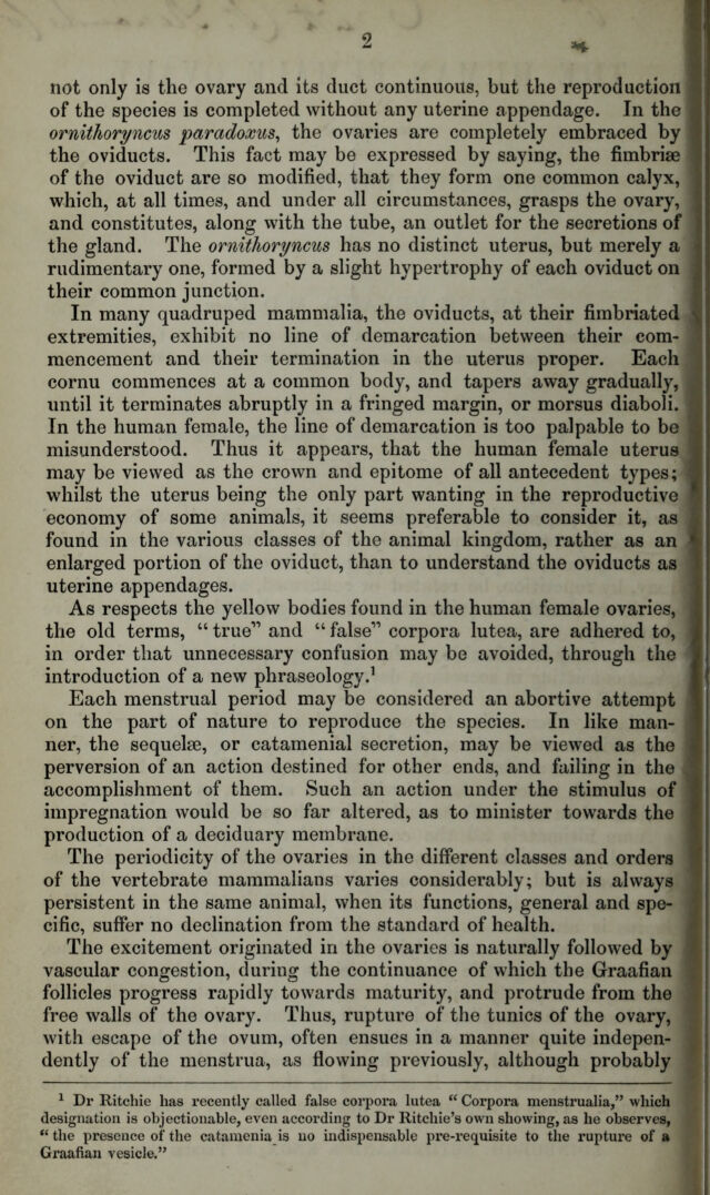 digitised image 2