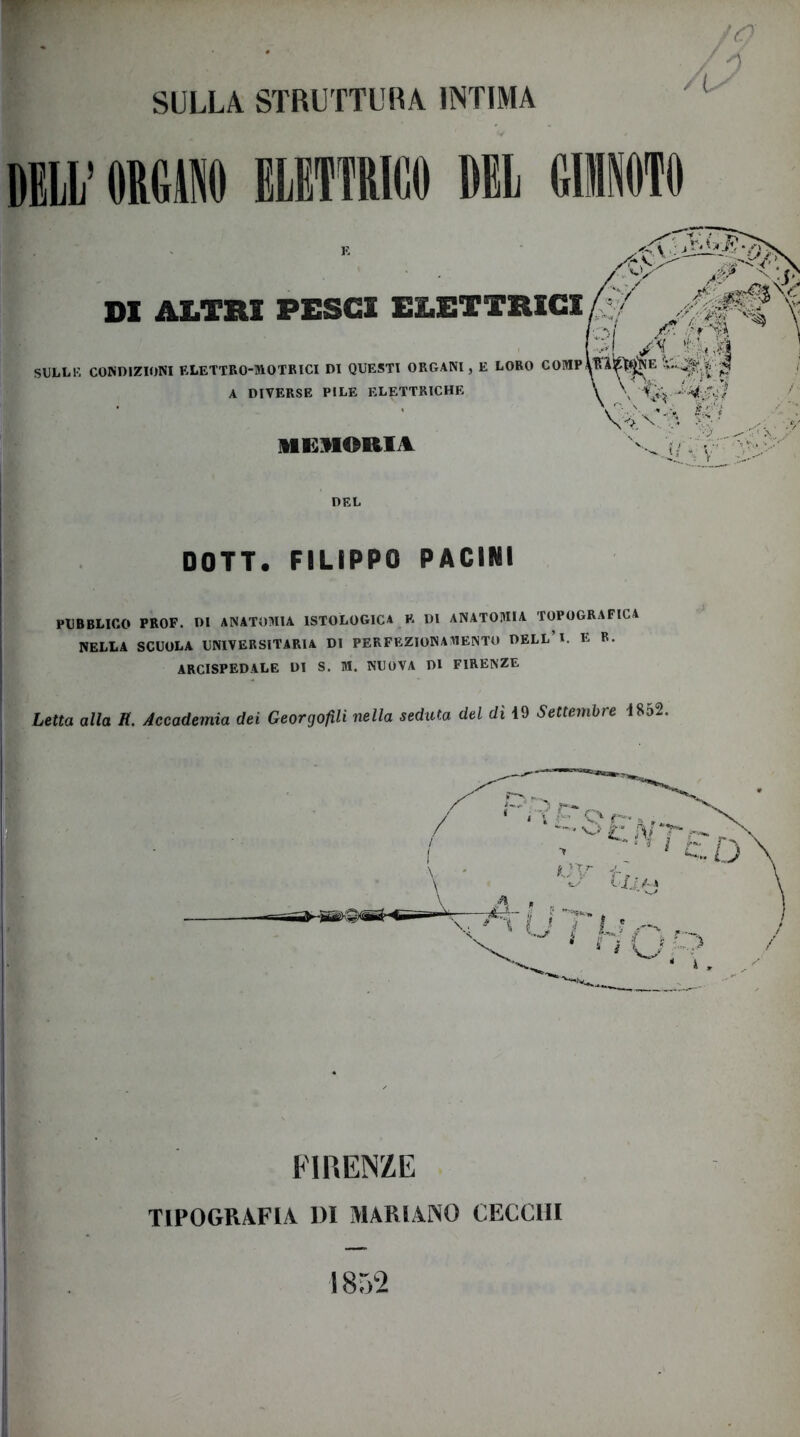 SULLA STRUTTURA INTIMA DEH’ ORe» ELETTRICO DEL GIIIITO DI ALTRI PESCI ELETTRICI, , ■;v( SULLi: CONDIZIONI ELETTRO-MOTRICI DI QUESTI ORGANI, E LORO COME A DIVERSE PILE ELETTRICHE MKMORIA DEL DOTI. FILIPPO PACINI PUBRLICO PROF. DI ANATOMIA ISTOLOGICA R DI ANATOMIA TOPOGRAFICA NELLA SCUOLA UNIVERSITARIA DI PERFEZIONA^lENTO DELL I. B. ARCISPEDALE DI S. M. NUOVA DI FIRENZE Letta alla H. Accademia dei GeorgoflU nella seduta del dì 19 Settembre 18»2. FIRENZE TIPOGRAFIA DI MARIANO CECCHI 1852