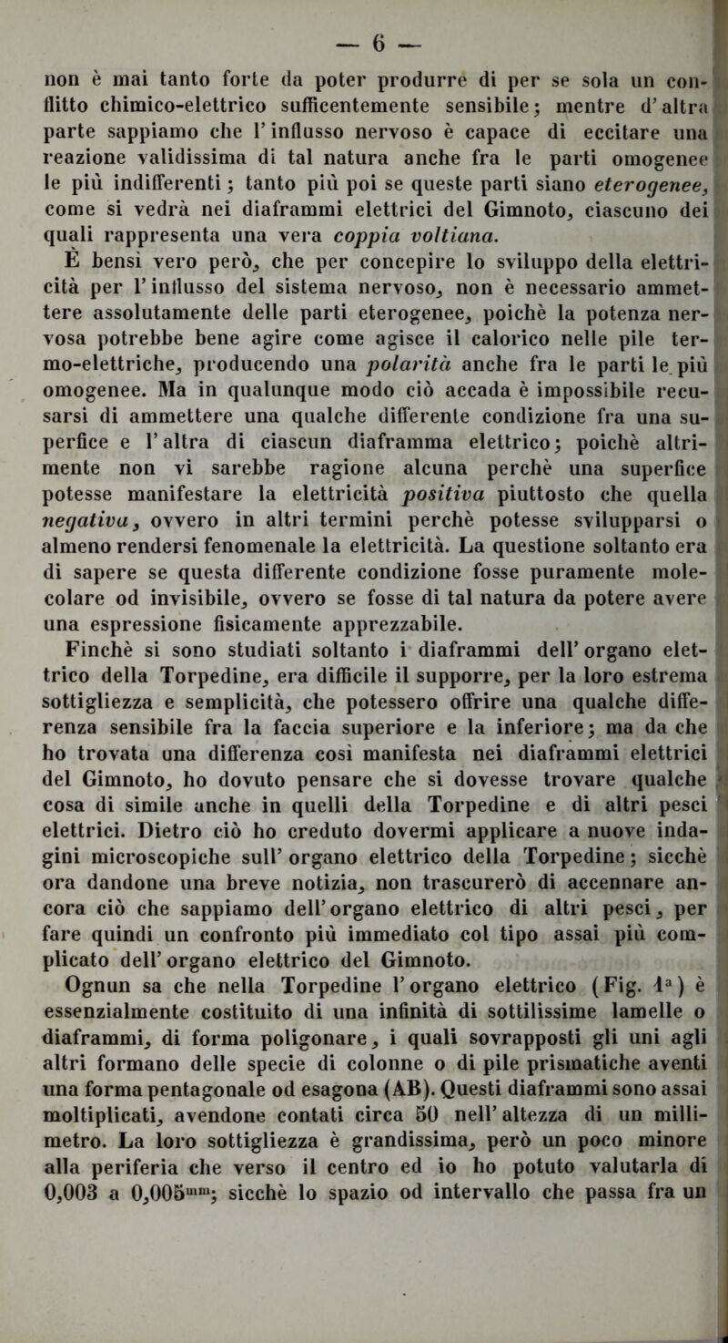 non è mai tanto forte da poter produrre di per se sola un con- flitto chimico-elettrico suflicentemente sensibile; mentre d’altra parte sappiamo che l’influsso nervoso è capace di eccitare una reazione validissima di tal natura anche fra le parti omogenee le più indilferenti ; tanto più poi se queste parti siano eterogenee, come si vedrà nei diaframmi elettrici del Gimnoto, ciascuno dei quali rappresenta una vera coppia voltiana. E bensì vero però, che per concepire lo sviluppo della elettri- cità per l’influsso del sistema nervoso, non è necessario ammet- tere assolutamente delle parti eterogenee, poiché la potenza ner- vosa potrebbe bene agire come agisce il calorico nelle pile ter- mo-elettriche, producendo una polarità anche fra le parti le. più omogenee. Ma in qualunque modo ciò accada è impossibile recu- sarsi di ammettere una qualche differente condizione fra una su- perfice e l’altra di ciascun diaframma elettrico; poiché altri- mente non vi sarebbe ragione alcuna perché una superfice potesse manifestare la elettricità positiva piuttosto che quella negativa, ovvero in altri termini perché potesse svilupparsi o almeno rendersi fenomenale la elettricità. La questione soltanto era di sapere se questa differente condizione fosse puramente mole- colare od invisibile, ovvero se fosse di tal natura da potere avere una espressione fisicamente apprezzabile. Finché si sono studiati soltanto i diaframmi dell’ organo elet- trico della Torpedine, era difficile il supporre, per la loro estrema sottigliezza e semplicità, che potessero offrire una qualche diffe- renza sensibile fra la faccia superiore e la inferiore ; ma da che ho trovata una differenza così manifesta nei diaframmi elettrici del Gimnoto, ho dovuto pensare che si dovesse trovare qualche f cosa di simile anche in quelli della Torpedine e di altri pesci elettrici. Dietro ciò ho creduto dovermi applicare a nuove inda- gini microscopiche sull’ organo elettrico della Torpedine ; sicché ora dandone una breve notizia, non trascurerò di accennare an- cora ciò che sappiamo dell’organo elettrico di altri pesci, per fare quindi un confronto più immediato col tipo assai più com- plicato dell’ organo elettrico del Gimnoto. Ognun sa che nella Torpedine l’organo elettrico (Fig. i“) é essenzialmente costituito di una infinità di sottilissime lamelle o diaframmi, di forma poligonare, i quali sovrapposti gli uni agli altri formano delle specie di colonne o di pile prismatiche aventi una forma pentagonale od esagona (AB). Questi diaframmi sono assai moltiplicati, avendone contati circa 50 nell’ altezza di un milli- metro. La loro sottigliezza é grandissima, però un poco minore alla periferia che verso il centro ed io ho potuto valutarla di 0,003 a 0,005“^“; sicché lo spazio od intervallo che passa fra un i