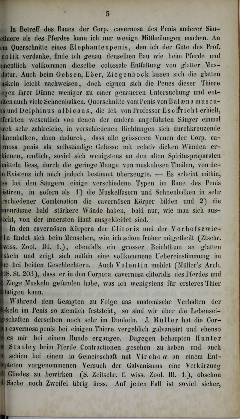 In Betreff des Baues der Corp. cavernosa des Penis anderer Säu- ethiere als des Pferdes kann ich nur wenige Mitlheilungen machen. An eni Querschnitte eines Elephantenpenis, den ich der Güte des Prof, rolik verdanke, finde ich genau denselben Bau wie beim Pferde und imentlich vollkommen dieselbe colossale Entfaltung von glatter Mus- ilatur. Auch beim Ochsen, Eber, Ziegenbock lassen sich die glatten uskeln leicht nachweisen, doch eignen sich die Penes dieser Thiere egen ihrer Dünne weniger zu einer genaueren Untersuchung und ent- iltenauch viele Sehnenbalken. Querschnitte vom Penis von Balaena muscu- is und Delphinus albicans, die ich von Professor Escifricht erhielt, fferirten wesentlich von denen der andern angeführten Säuger einmal ircli sehr zahlreiche, in verschiedenen Bichlungen sich durchkreuzende jhnenbalken, dann dadurch, dass alle grösseren Venen der Corp. ca- rnosa penis als selbständige Gefässe mit relativ dicken Wänden er- hienen, endlich, soviel sich wenigstens an den alten Spirituspräparaten milteln Hess, durch die geringe Menge von muskulösen Theilen, von de- n Existenz ich mich jedoch bestimmt überzeugte. — Es scheint mithin, ss bei den Säugern einige verschiedene Typen im Baue des Penis istiren, in sofern als 1) die Muskelfasern und Sehnenbalken in sehr rschiedener Combination die cavernösen Körper bilden und 2) die inenräume bald stärkere Wände haben, bald nur, wie man sich aus- ickt, von der innersten Haut ausgekleidet sind. In den cavernösen Körpern der Clitoris und der Vorhofszwic- ln findet sich beim Menschen, wie ich schon früher mitgetheilt (Ztschr. wiss. Zool. Bd. 1.), ebenfalls ein grosser Reichthum an glatten skcln und zeigt sich mithin eine vollkommene Uebereinstiminung im le bei beiden Geschlechtern. Auch Valentin meldet (Müllers Arch. [38. St. 203), dass er in den Corpora cavernosa cliloridis des Pferdes und * Ziege Muskeln gefunden habe, was ich wenigstens für ersteres Thier tätigen kann. i Während dem Gesagten zu Folge das anatomische Verhalten der !>keln im Penis so ziemlich feststeht, so sind wir über die Lebensei- ischaften derselben noch sehr im Dunkeln. J. Müller hat die Cor- a cavernosa penis bei einigen Thiere vergeblich galvanisirt und ebenso es mir bei einem Hunde ergangen. Dagegen behaupten Hunter || Stanley beim Pferde Contractionen gesehen zu haben und auch S schien bei einem in Gemeinschaft mit Virchow an einem Ent- pteten vorgenommenen Versuch der Galvanismus eine Verkürzung Gliedes zu bewirken (S. Zeitschr. f. wiss. Zool. III. 1.), obschon djj Sache noch Zweifel übrig iiess. Auf jeden Fall ist soviel sicher,