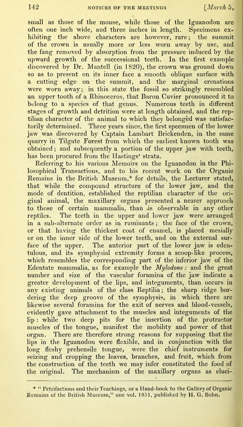 small as those of the mouse, while those of the Iguanodon are often one inch wide, and three inches in length. Specimens ex- hibiting the above characters are however, rare; the summit of the crown is usually more or less worn away by use, and the fang removed by absorption from the pressure induced by the upward growth of the successional teeth. In the first example discovered by Dr. Mantell (in 1820), the crown was ground down so as to present on its inner face a smooth oblique surface with a cutting edge on the summit, and the marginal crenations were worn away; in this state the fossil so strikingly resembled an upper tooth of a Rhinoceros, that Baron Cuvier pronounced it to belong to a species of that genus. Numerous teeth in different stages of growth and detrition were at length obtained, and the rep- tilian character of the animal to which they belonged was satisfac- torily determined. Three years since, the first specimen of the lower jaw was discovered by Captain Lambart Brickenden, in the same quarry in Tilgate Forest from which the earliest known tooth was obtained; and subsequently a portion of the upper jaw with teeth, has been procured from the Hastings’ strata. Referring to his various Memoirs on the Iguanodon in the Phi- losophical Transactions, and to his recent work on the Organic Remains in the British Museum,* for details, the Lecturer stated, that while the compound structure of the lower jaw, and the mode of dentition, established the reptilian character of the ori- ginal animal, the maxillary organs presented a nearer approach to those of certain mammalia, than -is observable in any other reptiles. The teeth in the upper and lower jaw were arranged in a sub-alternate order as in ruminants; the face of the crown, or that having the thickest coat of enamel, is placed mesially or on the inner side of the lower teeth, and on the external sur- face of the upper. The anterior part of the lower jaw is eden- tulous, and its symphysial extremity forms a scoop-like process, which resembles the corresponding part of the inferior jaw of the Edentate mammalia, as for example the Mylodons : and the great number and size of the vascular foramina of the jaw indicate a greater development of the lips, and integuments, than occurs in any existing animals of the class Reptilia; the sharp ridge bor- dering the deep groove of the symphysis, in which there are likewise several foramina for the exit of nerves and blood-vessels, evidently gave attachment to the muscles and integuments of the lip: while two deep pits for the insertion of the protractor muscles of the tongue, manifest the mobility and power of that organ. There are therefore strong reasons for supposing that the lips in the Iguanodon were flexible, and in conjunction with the long fleshy prehensile tongue, were the chief instruments for seizing and cropping the leaves, branches, and fruit, which from the construction of the teeth we may infer constituted the food of the original. The mechanism of the maxillary organs as eluci- * “ Petrifactions anil their Teachings, or a Hand-book to the Gallery of Organic Remains of the British Museum,” one vol. 1851, published by H. G. Bohn.