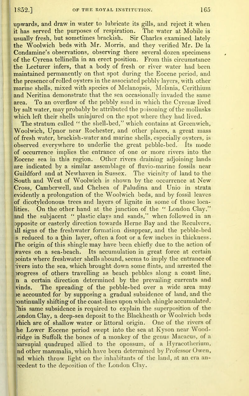 upwards, and draw in water to lubricate its gills, and reject it when it has served the purposes of respiration. The water at Mobile is usually fresh, but sometimes brackish. Sir Charles examined lately the Woolwich beds with Mr. Morris, and they verified Mr. De la Condamine’s observations, observing there several dozen specimens of the Cyrena tellinella in an erect position. From this circumstance the Lecturer infers, that a body of fresh or river water had been maintained permanently on that spot during the Eocene period, and the presence of rolled oysters in the associated pebbly layers, with other marine shells, mixed with species of Melanopsis, Melania, Cerithium and Neritina demonstrate that the sea occasionally invaded the same area. To an overflow of the pebbly sand in which the Cvrense lived by salt water, may probably be attributed the poisoning of the mollusks which left their shells uninjured on the spot where they had lived. The stratum called “ the shell-bed,” which contains at Greenwich, Woolwich, Upnor near Rochester, and other places, a great mass of fresh water, brackish-water and marine shells, especially oysters, is observed everywhere to underlie the great pebble-bed. Its mode of occurrence implies the entrance of one or more rivers into the Eocene sea in this region. Other rivers draining adjoining lands are indicated by a similar assemblage of fluvio-marine fossils near Guildford and at Newhaven in Sussex. The vicinity of land to the South and West of Woolwich is shown by the occurrence at New Cross, Camberwell, and Chelsea of Paludina and Unio in strata evidently a prolongation of the Woolwich beds, and by fossil leaves of dicotyledonous trees and layers of lignite in some of those loca- lities. On the other hand at the junction of the “ London Clay,” and the subjacent “ plastic clays and sands,” when followed in an opposite or easterly direction towards Herne Bay and the Reculvers, ill signs of the freshwater formation disappear, and the pebble-bed is reduced to a thin layer, often a foot or a few inches in thickness. The origin of this shingle may have been chiefly due to the action of waves on a sea-beach. Its accumulation in great force at certain ooints where freshwater shells abound, seems to imply the entrance of •ivers into the sea, which brought down some flints, and arrested the progress of others travelling as beach pebbles along a coast line, n a certain direction determined by the prevailing currents and vinds. The spreading of the pebble-bed over a wide area may >e accounted for by supposing a gradual subsidence of land, and the :ontinually shifting of the coast-lines upon which shingle accumulated, ’his same subsidence is required to explain the superposition of the London Clay, a deep-sea deposit to the Blackheath or Woolwich beds rhich are of shallow water or littoral origin. One of the rivers of he Lower Eocene period swept into the sea at Kyson near Wood- ridge in Suffolk the bones of a monkey of the genus Macacus, of a aarsupial quadruped allied to the opossum, of a Hyracotherium, ■ jnd other mammalia, which have been determined by Professor Owen, nd which throw light on the inhabitants of the land, at an era an- acedent to the deposition of the London Clay.