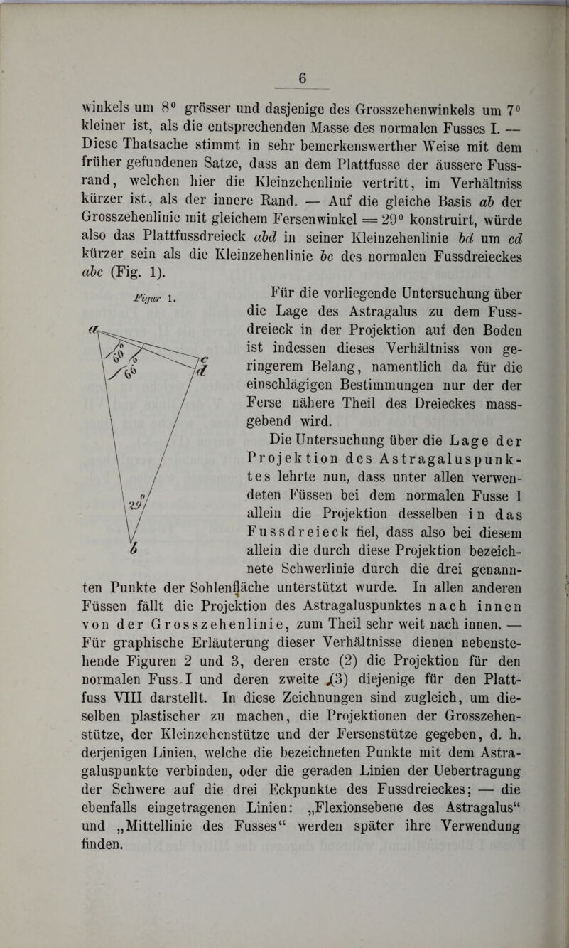 Winkels um 8® grösser und dasjenige des Grosszehen winkeis um 7® kleiner ist, als die entsprechenden Masse des normalen Fusses I. — Diese Thatsache stimmt in sehr bemerkenswerther Weise mit dem früher gefundenen Satze, dass an dem Plattfusse der äussere Fuss- rand, welchen hier die Kleinzehenlinie vertritt, im Verhältniss kürzer ist, als der innere Rand. — Auf die gleiche Basis ah der Grosszehenlinie mit gleichem Fersenwinkel = 29^ konstruirt, würde also das Plattfussdreieck ahd in seiner Kleinzehenlinie hd um cd kürzer sein als die Kleinzehenlinie hc des normalen Fussdreieckes Für die vorliegende Untersuchung über die Lage des Astragalus zu dem Fuss- dreieck in der Projektion auf den Boden ist indessen dieses Verhältniss von ge- ringerem Belang, namentlich da für die einschlägigen Bestimmungen nur der der Ferse nähere Theil des Dreieckes mass- gebend wird. Die Untersuchung über die Lage der Projektion des Astragaluspunk- tes lehrte nun, dass unter allen verwen- deten Füssen bei dem normalen Fusse I allein die Projektion desselben in das Fussdreieck fiel, dass also bei diesem allein die durch diese Projektion bezeich- nete Schwerlinie durch die drei genann- ten Punkte der Sohlen^äche unterstützt wurde. In allen anderen Füssen fällt die Projektion des Astragaluspunktes nach innen von der Grosszehenlinie, zum Theil sehr weit nach innen.— Für graphische Erläuterung dieser Verhältnisse dienen nebenste- hende Figuren 2 und 3, deren erste (2) die Projektion für den normalen Fuss.I und deren zweite j(3) diejenige für den Platt- fuss VIII darstellt. In diese Zeichnungen sind zugleich, um die- selben plastischer zu machen, die Projektionen der Grosszehen- stütze, der Kleinzehenstütze und der Fersenstütze gegeben, d. h. derjenigen Linien, welche die bezeichneten Punkte mit dem Astra- galuspunkte verbinden, oder die geraden Linien der Uebertragung der Schwere auf die drei Eckpunkte des Fussdreieckes; — die ebenfalls eingetragenen Linien: „Flexionsebene des Astragalus“ und „Mittellinie des Fusses“ werden später ihre Verwendung finden. ahc (Fig. 1).