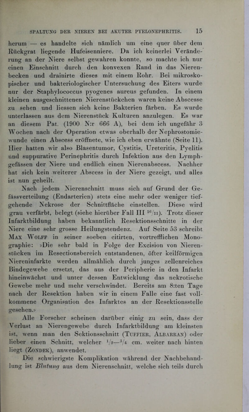 herum — es handelte sich nämlich um eine quer über dem Rückgrat liegende Hufeisenniere. Da ich keinerlei Verände- rung an der Niere selbst gewahren konnte, so machte ich nur einen Einschnitt durch den konvexen Rand in das Nieren- becken und drainirte dieses mit einem Rohr. Bei mikrosko- pischer und bakteriologischer Untersuchung des Eiters wurde nur der Staphylococcus pyogenes aureus gefunden. In einem kleinen ausgeschnittenen Nierenstückchen waren keine Abscesse zu sehen und Hessen sich keine Bakterien färben. Es wurde unterlassen aus dem Nierenstück Kulturen anzulegen. Es war an diesem Pat. (1900 N:r 666 A), bei dem ich ungefähr 3 Wochen nach der Operation etwas oberhalb der Nephrostomie- wunde einen Abscess eröffnete, wie ich eben erwähnte (Seite 11). Hier hatten wir also Blasentumor, Cystitis, Ureteritis, Pyelitis und suppurative Perinephritis durch Infektion aus den Lymph- gefässen der Niere und endlich einen Nierenabscess. Nachher hat sich kein weiterer Abscess in der Niere gezeigt, und alles ist nun geheilt. Nach jedem Nierenschnitt muss sich auf Grund der Ge- fässverteilung (Endarterien) stets eine mehr oder weniger tief- gehende Nekrose der Schnittfläche einstellen. Diese wird grau verfärbt, belegt (siehe hierüber Fall III 16/n). Trotz dieser Infarktbildung haben bekanntlich Resektionsschnitte in der Niere eine sehr grosse Heilungstendenz. Auf Seite 53 schreibt Max Wolff in seiner soeben citirten, vortrefflichen Mono- graphie: »Die sehr bald in Folge der Excision von Nieren- stücken im Resectionsbereich entstandenen, öfter keilförmigen Niereninfarkte werden allmählich durch junges zellenreiches Bindegewebe ersetzt, das aus der Peripherie in den Infarkt hineinwächst und unter dessen Entwicklung das nekrotische Gewebe mehr und mehr verschwindet. Bereits am 8:ten Tage nach der Resektion haben wir in einem Falle eine fast voll- kommene Organisation des Infarktes an der Resektionsstelle gesehen.» Alle Forscher scheinen darüber einig zu sein, dass der Verlust an Nierengewebe durch Infarktbildung am kleinsten ist, wenn man den Sektionsschnitt (Tuffier, Albarran) oder lieber einen Schnitt, welcher V2—3/4 cm. weiter nach hinten liegt (Zondek), anwendet. Die schwierigste Komplikation während der Nachbehand- lung ist Blutung aus dem Nierenschnitt, welche sich teils durch