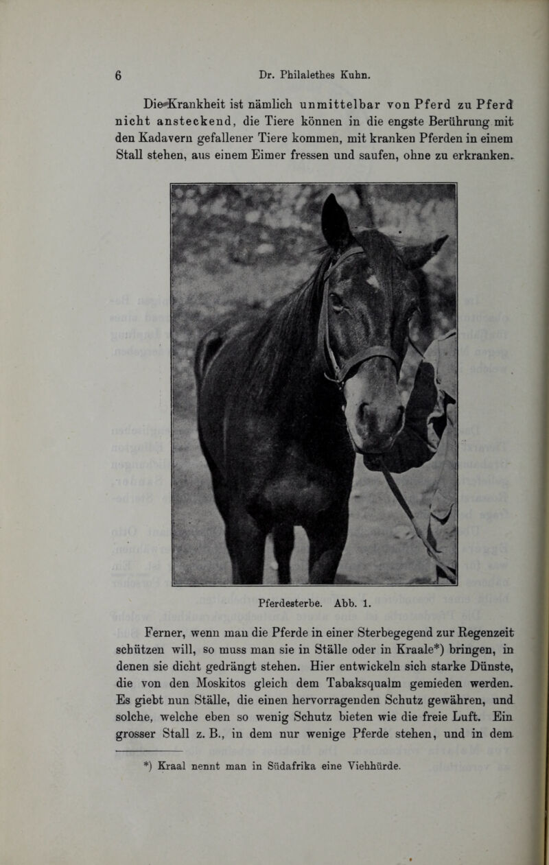 Die-Krankheit ist nämlicli unmittelbar von Pferd zu Pferd nicht ansteckend, die Tiere können in die engste Berührung mit den Kadavern gefallener Tiere kommen, mit kranken Pferden in einem Stall stehen, aus einem Eimer fressen und saufen, ohne zu erkranken^ Pferdesterbe. Abb. 1. Ferner, wenn mau die Pferde in einer Sterbegegend zur Regenzeit schützen will, so muss man sie in Ställe oder in Kraale*) bringen, in denen sie dicht gedrängt stehen. Hier entwickeln sich starke Dünste, die von den Moskitos gleich dem Tabaksqualm gemieden werden. Es giebt nun Ställe, die einen hervorragenden Schutz gewähren, und solche, welche eben so wenig Schutz bieten wie die freie Luft. Ein grosser Stall z. B., in dem nur wenige Pferde stehen, und in dem *) Kraal nennt man in Südafrika eine Viehhürde.