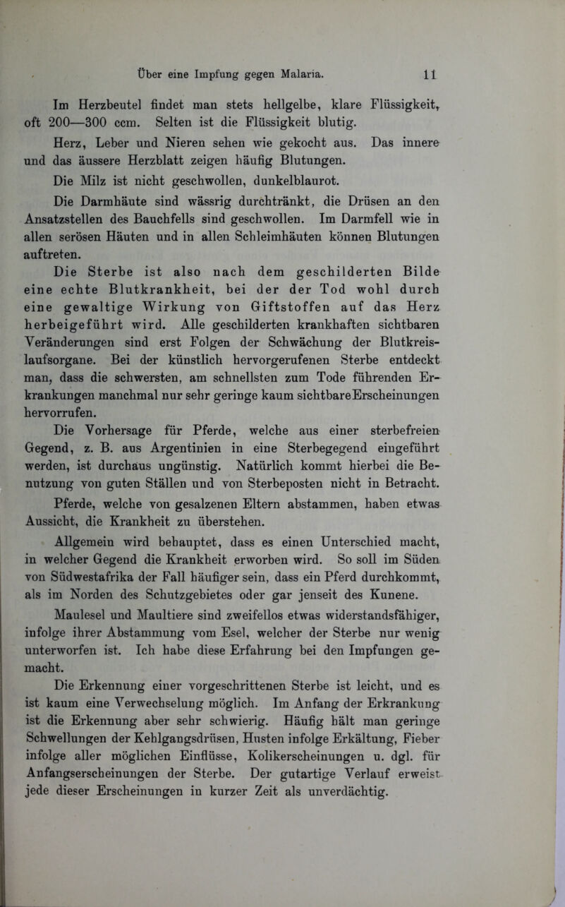 Im Herzbeutel findet man stets hellgelbe, klare Flüssigkeit,^ oft 200—300 ccm. Selten ist die Flüssigkeit blutig. Herz, Leber und Nieren sehen wie gekocht aus. Das innere und das äussere Herzblatt zeigen häufig Blutungen. Die Milz ist nicht geschwollen, dunkelblaurot. Die Darmhäute sind wässrig durchtränkt, die Drüsen an den Ansatzstellen des Bauchfells sind geschwollen. Im Darmfell wie in allen serösen Häuten und in allen Schleimhäuten können Blutungen auftreten. Die Sterbe ist also nach dem geschilderten Bilde eine echte Blutkrankheit, bei der der Tod wohl durch eine gewaltige Wirkung von Giftstoffen auf das Herz herbeigeführt wird. Alle geschilderten krankhaften sichtbaren Veränderungen sind erst Folgen der Schwächung der Blutkreis- laufsorgane. Bei der künstlich hervorgerufenen Sterbe entdeckt man, dass die schwersten, am schnellsten zum Tode führenden Er- krankungen manchmal nur sehr geringe kaum sichtbare Erscheinungen hervorrufen. Die Vorhersage für Pferde, welche aus einer sterbefreien Gegend, z. B. aus Argentinien in eine Sterbegegend eingeführt werden, ist durchaus ungünstig. Natürlich kommt hierbei die Be- ^nutzung von guten Ställen und von Sterbeposten nicht in Betracht. Pferde, welche von gesalzenen Eltern abstammen, haben etwas Aussicht, die Krankheit zu überstehen. Allgemein wird behauptet, dass es einen Unterschied macht, in welcher Gegend die Krankheit erworben wird. So soll im Süden von Südwestafrika der Fall häufiger sein, dass ein Pferd durchkommt, als im Norden des Schutzgebietes oder gar jenseit des Kunene. Maulesel und Maultiere sind zweifellos etwas widerstandsfähiger, infolge ihrer Abstammung vom Esel, welcher der Sterbe nur wenig unterworfen ist. Ich habe diese Erfahrung bei den Impfungen ge- macht. Die Erkennung einer vorgeschrittenen Sterbe ist leicht, und es ist kaum eine Verwechselung möglich. Im Anfang der Erkrankung ist die Erkennung aber sehr schwierig. Häufig hält man geringe Schwellungen der Kehlgangsdrüsen, Husten infolge Erkältung, Fieber infolge aller möglichen Einflüsse, Kolikerscheinungen u. dgl. für Anfangserscheinungen der Sterbe. Der gutartige Verlauf erweist jede dieser Erscheinungen in kurzer Zeit als unverdächtig.