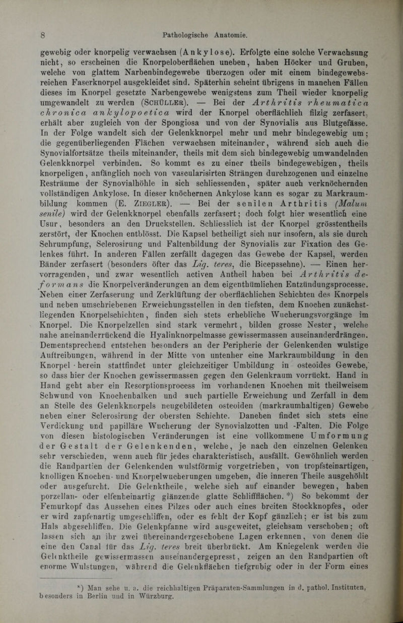 gewebig oder knorpelig verwachsen (Ankylose). Erfolgte eine solche Verwachsung nicht, so erscheinen die Knorpeloberfläcben uneben, haben Höcker und Gruben, welche von glattem Narbenbindegewebe überzogen oder mit einem bindegewebs- reichen Faserknorpel ausgekleidet sind. Späterhin scheint übrigens in manchen Fällen dieses im Knorpel gesetzte Narbengewebe wenigstens zum Theil wieder knorpelig umgewandelt zu werden (Schüller). — Bei der Arthritis rheumatica chronica anhylop o etica wird der Knorpel oberflächlich filzig zerfasert- erhält aber zugleich von der Spongiosa und von der Synovialis aus Blutgefässe. In der Folge wandelt sich der Gelenkknorpel mehr und mehr bindegewebig um ; die gegenüberliegenden Flächen verwachsen miteinander, während sich auch die Synovialfortsätze theils miteinander, theils mit dem sich bindegewebig umwandelnden Gelenkknorpel verbinden. So kommt es zu einer theils bindegewebigen, theils knorpeligen, anfänglich noch von vascularisirten Strängen durchzogenen und einzelne Resträume der Synovialhöhle in sich schliessenden, später auch verknöchernden vollständigen Ankylose. In dieser knöchernen Ankylose kann es sogar zu Markraum- bildung kommen (E. Ziegler). — Bei der senilen Arthritis (Malum senile) wird der Gelenkknorpel ebenfalls zerfasert; doch folgt hier wesentlich eine Usur, besonders an den Druckstellen. Schliesslich ist der Knorpel grösstentheils zerstört, der Knochen entblösst. Die Kapsel betheiligt sich nur insofern, als sie durch Schrumpfung, Sclerosirung und Faltenbildung der Synovialis zur Fixation des Ge- lenkes führt. In anderen Fällen zerfällt dagegen das Gewebe der Kapsel, werden Bänder zerfasert (besonders öfter das Lig. teres, die Bicepssehne). — Einen her- vorragenden, und zwar wesentlich activen Antheil haben bei Arthritis de- form ans die Knorpelveränderungen an dem eigenthümlichen Entzündungsprocesse. Neben einer Zerfaserung und Zerklüftung der oberflächlichen Schichten des Knorpels und neben umschriebenen Erweichungsstellen in den tiefsten, dem Knochen zunächst- liegenden Knorpelschichten, finden sich stets erhebliche Wucherungsvorgänge im Knorpel. Die Knorpelzellen sind stark vermehrt, bilden grosse Nester, welche nahe aneinanderrückend die Hyalinknorpelmasse gewissermassen auseinanderdrängen. Dementsprechend entstehen besonders an der Peripherie der Gelenkenden wulstige Auftreibungen, während in der Mitte von untenher eine Markraumbildung in den Knorpel • herein stattfindet unter gleichzeitiger Umbildung in osteoides Gewebe, so dass hier der Knochen gewissermassen gegen den Gelenkraum vorrückt. Hand in Hand geht aber ein Resorptionsprocess im vorhandenen Knochen mit theilweisem Schwund von Knochenbalken und auch partielle Erweichung und Zerfall in dem an Stelle des Gelenkknorpels neugebildeten osteoiden (markraumhaltigen) Gewebe neben einer Sclerosirung der obersten Schichte. Daneben findet sich stets eine Verdickung und papilläre Wucherung der Synovialzotten und -Falten. Die Folge von diesen histologischen Veränderungen ist eine vollkommene Umformung der Gestalt der Gelenkenden, welche, je nach den einzelnen Gelenken sehr verschieden, wenn auch für jedes charakteristisch, ausfällt. Gewöhnlich werden die Randpartien der Gelenkenden wulstförmig vorgetrieben, von tropfsteinartigen, knolligen Knochen- und Knorpelwucherungen umgeben, die inneren Theile ausgehöhlt oder ausgefurcht. Die Gelenktheile, welche sich auf einander bewegen, haben porzellan- oder elfenheinartig glänzende glatte Schliffflächen. *) So bekommt der Femurkopf das Aussehen eines Pilzes oder auch eines breiten Stockknopfes, oder er wird zapfenartig umgeschliffen, oder es fehlt der Kopf gänzlich; er ist bis zum Hals abgeschliffen. Die Gelenkpfanne wird ausge'weitet, gleichsam verschoben; oft lassen sich an ihr zwei iibereinandergeschobene Lagen erkennen, von denen die eine den Canal iür das Lig. teres breit überbrückt. Am Kniegelenk werden die Gehnktheile gewissermassen auseinandergepresst, zeigen an den Randpartien oft enorme Wulstungen, während die Gelenkflächen tiefgrubig oder in der Form eines 81) Man sehe u. a. die reichhaltigen Präparaten-Sammlungen in d. pathol. Instituten, besonders in Berlin und in Würzburg.