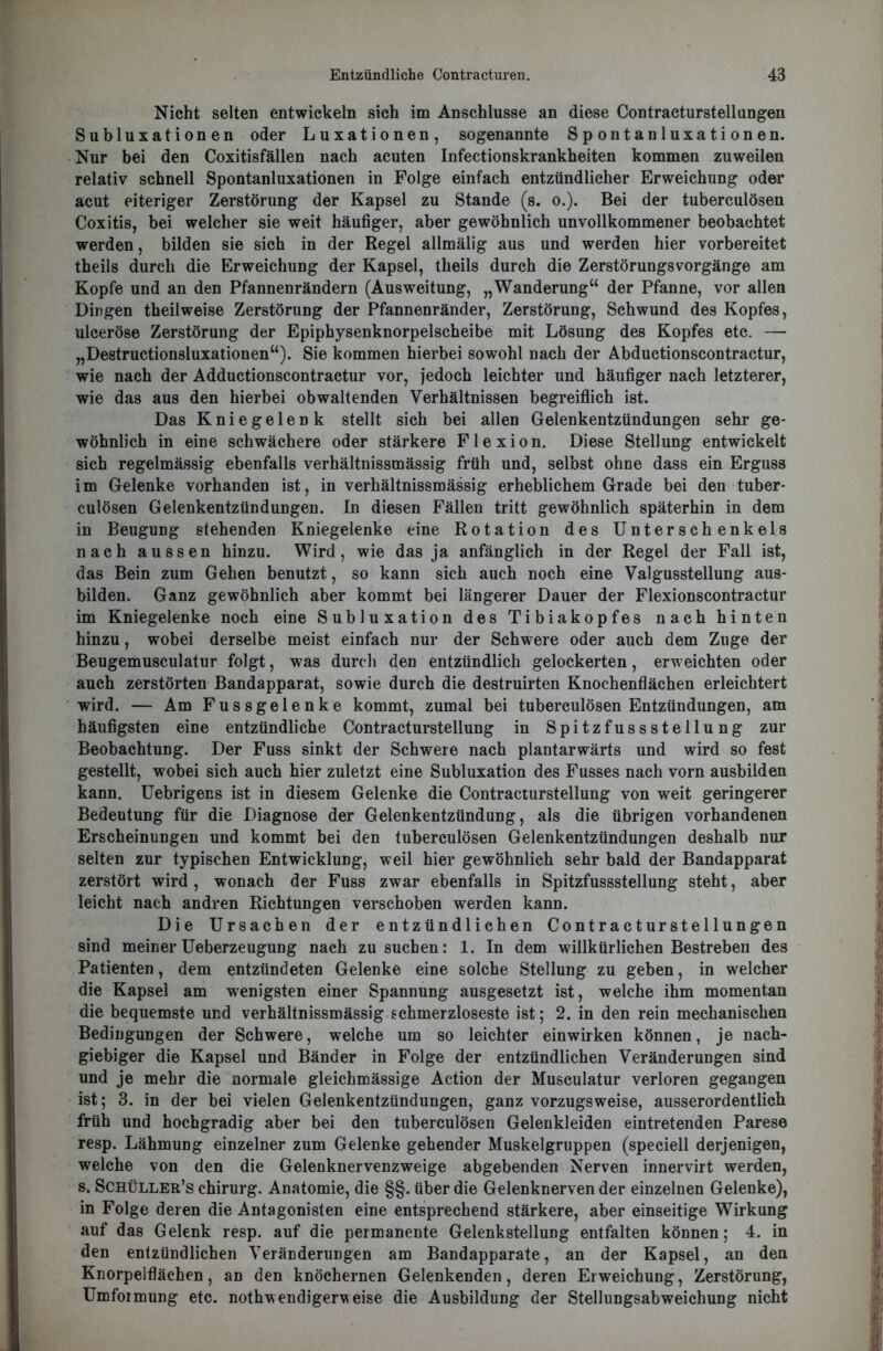 Nicht selten entwickeln sich im Anschlüsse an diese Contracturstellungen Subluxationen oder Luxationen, sogenannte Spontanluxationen. Nur bei den Coxitisfällen nach acuten Infectionskrankheiten kommen zuweilen relativ schnell Spontanluxationen in Folge einfach entzündlicher Erweichung oder acut eiteriger Zerstörung der Kapsel zu Stande (s. o.). Bei der tuberculösen Coxitis, bei welcher sie weit häufiger, aber gewöhnlich unvollkommener beobachtet werden, bilden sie sich in der Regel allmälig aus und werden hier vorbereitet theils durch die Erweichung der Kapsel, theils durch die ZerstörungsVorgänge am Kopfe und an den Pfannenrändern (Ausweitung, „Wanderung“ der Pfanne, vor allen Dingen theilweise Zerstörung der Pfannenränder, Zerstörung, Schwund des Kopfes, ulceröse Zerstörung der Epiphysenknorpelscheibe mit Lösung des Kopfes etc. —• „Destructionsluxationen“). Sie kommen hierbei sowohl nach der Abductionscontractur, wie nach der Adductionscontractur vor, jedoch leichter und häufiger nach letzterer, wie das aus den hierbei obwaltenden Verhältnissen begreiflich ist. Das Kniegelenk stellt sich bei allen Gelenkentzündungen sehr ge- wöhnlich in eine schwächere oder stärkere Flexion. Diese Stellung entwickelt sich regelmässig ebenfalls verhältnissmässig früh und, selbst ohne dass ein Erguss im Gelenke vorhanden ist, in verhältnissmässig erheblichem Grade bei den tuber- culösen Gelenkentzündungen. In diesen Fällen tritt gewöhnlich späterhin in dem in Beugung stehenden Kniegelenke eine Rotation des Unterschenkels nach aussen hinzu. Wird, wie das ja anfänglich in der Regel der Fall ist, das Bein zum Gehen benutzt, so kann sich auch noch eine Valgusstellung aus- bilden. Ganz gewöhnlich aber kommt bei längerer Dauer der Flexionscontractur im Kniegelenke noch eine Subluxation des Tibiakopfes nach hinten hinzu, wobei derselbe meist einfach nur der Schwere oder auch dem Zuge der Beugemusculatur folgt, was durch den entzündlich gelockerten, erweichten oder auch zerstörten Bandapparat, sowie durch die destruirten Knochenflächen erleichtert wird. — Am Fussgelenke kommt, zumal bei tuberculösen Entzündungen, am häufigsten eine entzündliche Contracturstellung in Spitzfussstellung zur Beobachtung. Der Fuss sinkt der Schwere nach plantarwärts und wird so fest gestellt, wobei sich auch hier zuletzt eine Subluxation des Fusses nach vorn ausbilden kann. Uebrigens ist in diesem Gelenke die Contracturstellung von weit geringerer Bedeutung für die Diagnose der Gelenkentzündung, als die übrigen vorhandenen Erscheinungen und kommt bei den tuberculösen Gelenkentzündungen deshalb nur selten zur typischen Entwicklung, weil hier gewöhnlich sehr bald der Bandapparat zerstört wird, wonach der Fuss zwar ebenfalls in Spitzfussstellung steht, aber leicht nach andren Richtungen verschoben werden kann. Die Ursachen der entzündlichen Contracturstellungen sind meiner Ueberzeugung nach zu suchen: 1. In dem willkürlichen Bestreben des Patienten, dem entzündeten Gelenke eine solche Stellung zu geben, in welcher die Kapsel am wenigsten einer Spannung ausgesetzt ist, welche ihm momentan die bequemste und verhältnissmässig schmerzloseste ist; 2. in den rein mechanischen Bedingungen der Schwere, welche um so leichter einwirken können, je nach- giebiger die Kapsel und Bänder in Folge der entzündlichen Veränderungen sind und je mehr die normale gleichmässige Action der Musculatur verloren gegangen ist; 3. in der bei vielen Gelenkentzündungen, ganz vorzugsweise, ausserordentlich früh und hochgradig aber bei den tuberculösen Gelenkleiden eintretenden Parese resp. Lähmung einzelner zum Gelenke gehender Muskelgruppen (speciell derjenigen, welche von den die Gelenknervenzweige abgebenden Nerven innervirt werden, s. Schüller’s Chirurg. Anatomie, die §§. über die Gelenknerven der einzelnen Gelenke), in Folge deren die Antagonisten eine entsprechend stärkere, aber einseitige Wirkung auf das Gelenk resp. auf die permanente Gelenkstellung entfalten können; 4. in den entzündlichen Veränderungen am Bandapparate, an der Kapsel, an den Knorpelflächen, an den knöchernen Gelenkenden, deren Erweichung, Zerstörung, Umformung etc. nothwendigerweise die Ausbildung der Stellungsabweichung nicht