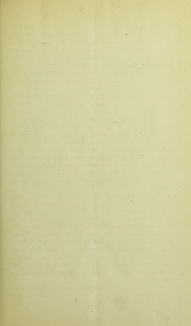 digitised image 3