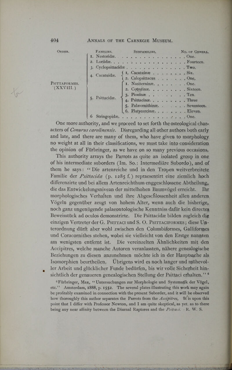 Order. PSITTAFORMES. (XXVIII. ) Families. 1. Nestoridae. . . 2. Loriidae. . . , 3. Cyclopsittacidae Subfamilies. 4. Cacatuidae. {I 5. Psittacidae. < 6 Stringopjdae. Cacatuinae . . Calopsittacus . 1. Nasiterninae. . 2. Cq^nrinae. . . 3. Pioninae . . . 4. Psittacinae. . . 5. Palaeornithinae. v 6. Platycercinae. . No. of Genera. . . One. . . Fourteen. . . Two. . . Six. . . One. . . One. . . Sixteen. . . Ten. . . Three . . Seventeen. . . Eleven, . . One. One more authority, and we proceed to set forth the osteological char- acters of Conurus carolinensis. Disregarding all other authors both early and late, and there are many of them, who have given to morphology no weight at all in their classifications, we must take into consideration the opinion of Flirbringer, as we have on so many previous occasions. This authority arrays the Parrots as quite an isolated group in one of his intermediate suborders (Im. So.: Intermediare Subordo), and of them he says: “Die artenreiche und in den Tropen weitverbreitete Familie der Psittacidce. (p. 1285 f.) repraesentirt eine ziemlich hoch differenzirte und bei allem Artenreichthum enggeschlossene Abtheilung, die das Entwickelungsnivean der mittelhohen Baumvogel erreicht. Ihr morphologisches Verhalten und ihre Abgescfilossenheit alien anderen Vogeln gegeniiber zeugt von hohem Alter, wenn auch die bisherige, noch ganz ungeniigende palaeontologische Kenntniss dafiir kein directes Beweisstiick ad oculos demonstrirte. Die Psittacidae bilden zugleich die einzigen Vertreter der G. Psittaci und S. O. Psittaciformes ; dieseUn- terordnung dlirft aber wohl zwischen den Columbiformes, Galliforajes und Coracornithes stehen, wobei sie vielleicht von den Erstge nannten am wenigsten entfernt ist. Die vereinzelten Ahnlichkeiten mit den Accipitres, welche manche Autoren veranlassten, nahere genealogische Beziehungen zu diesen anzunehmen mochte ich in der Hauptsache als Isomorphien beurtheilen. Ubrigens wird es noch langer und mtihevol- ler Arbeit und gliicklicher Funde bediirfen, bis wir voile Sicherheit hin- sichtlich der genaueren genealogischen Stellung der Psittaci erhalten. ’ ’6 6Furbringer, Max, “ Untersuchungen zur Morphologie und Systematik der Vogel, etc.” Amsterdam, 1888, p. 1552. The several plates illustrating this work may again be profitably examined in connection with the present Suborder, and it will be observed how thoroughly this author separates the Parrots from the Accipitres. It is upon this point that I differ with Professor Newton, and I am quite skeptical, as yet. as to there being any near affinity between the Diurnal Raptores and the Psit/aci. - R. W. S.