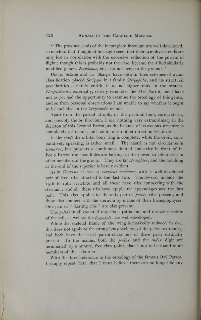 “ The proximal ends of the incomplete furculum are well-developed, so much so that it might at first sight seem that their symphysial ends are only lost in correlation with the excessive reduction of the powers of flight; though this is probably not the case, because the allied similarly modified genera Euphema, etc., do not keep to the ground.” Doctor Sclater and Dr. Sharpe have both in their schemes of avian classification placed Strigops in a family Strigopidce, and its structural peculiarities certainly entitle it to no higher rank in the system. Geopsittacus, externally, closely resembles the Owl Parrot, but I have not as yet had the opportunity to examine the osteology of this genus, and so from personal observations I am unable to say whether it ought to be included in the Strigopidce or not. Apart from the partial atrophy of the pectoral limb, carina sterni, and possibly the os furculum, I see nothing very extraordinary in the skeleton of this Ground Parrot, as the balance of its osseous structure is completely psittacine, and points in no other direction whatever. In the skull the orbital bony ring is complete, while the orbit, com- paratively speaking, is rather small. The nostril is not circular as in Conurus, but presents a continuous limited concavity in front of it. For a Parrot the mandibles are lacking in the power so often seen in other members of the group. They are far straighter, and the notching at the end of the superior is barely evident. As in Conurus, it has 14 cervical vertebrce, with a well-developed pair of free ribs attached to the last two. The dorsals include the 15 th to 19th vertebrae and all these have ribs connecting with the sternum; and all these ribs have epipleural appendages save the last pair. This also applies to the only pair of pelvic ribs present, and these also connect with the sternum by means of their haemapophyses. One pair of “ floating ribs ” are also present. The pelvis in all essential respects is psittacine, and the 'six vertebrae of the tail, as well as the pygostyle, are well-developed. While the skeletal frame of the wing is markedly reduced in size, this does not apply to the strong bony skeleton of the pelvic extremity, and both have the usual parrot-characters of these parts distinctly present. In the manus, both the pollex and the index digit are terminated by a minute, free claw-point, that is not to be found in all members of this suborder. With this brief reference to the osteology of the famous Owl Parrot, I simply repeat here that I must believe there can no longer be any