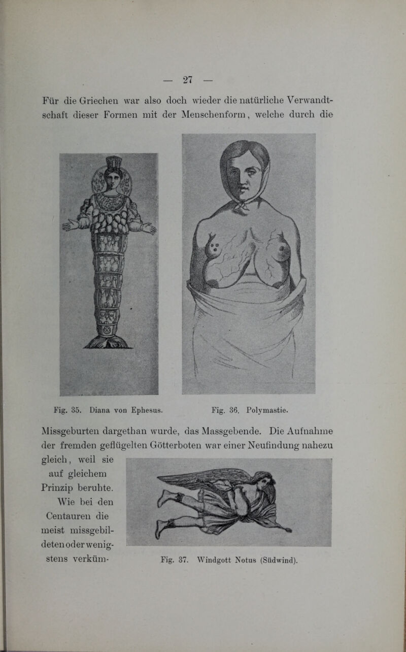 Für die Griechen war also doch wieder die natürliche Verwandt- schaft dieser Formen mit der Menschenform, welche durch die Fig. 35. Diana von Ephesus. Fig. 36. Polymastie. Missgeburten dargethan wurde, das Massgebende. Die Aufnahme der fremden geflügelten Götterboten war einer Neufindung nahezu gleich, weil sie auf gleichem Prinzip beruhte. Wie bei den Centauren die meist missgebil- deten oder wenig- stens verküm- Fig. 37. Windgott Notus (Südwind).