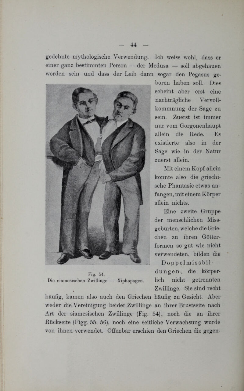 gedehnte mythologische Verwendung. Ich weiss wohl, dass er einer ganz bestimmten Person — der Medusa — soll abgehauen worden sein und dass der Leib dann sogar den Pegasus ge- boren haben soll. Dies scheint aber erst eine nachträgliche Vervoll- kommnung der Sage zu sein. Zuerst ist immer nur vom Gorgonenhaupt allein die Rede. Es existierte also in der Sage wie in der Natur zuerst allein. Mit einem Kopf allein konnte also die griechi- sche Phantasie etwas an- fangen, mit einem Körper allein nichts. Eine zweite Gruppe der menschlichen Miss- geburten, welche die Grie- chen zu ihren Götter- formen so gut wie nicht verwendeten, bilden die Doppelmissbil- dungen, die körper- Die siamesischen Zwillinge — Xiphopagen. lieh nicht getrennten Zwillinge. Sie sind recht häufig, kamen also auch den Griechen häufig zu Gesicht. Aber weder die Vereinigung beider Zwillinge an ihrer Brustseite nach Art der siamesischen Zwillinge (Fig. 54), noch die an ihrer Rückseite (Figg. 55, 56), noch eine seitliche Verwachsung wurde von ihnen verwendet. Offenbar erschien den Griechen die gegen-