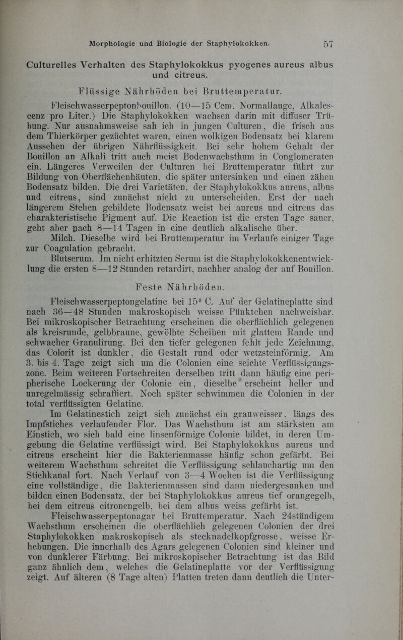 Culturelles Verhalten des Staphylokokkus pyogenes aureus albus und citreus. Flüssige Nährböden bei Bruttemperatur. Fleischwasserpeptonbouillon. (10—15 Ccm. Normallauge, Alkales- cenz pro Liter.) Die Staphylokokken wachsen darin mit diffuser Trü- bung. Nur ausnahmsweise sah ich in jungen Culturen, die frisch aus dem Thierkörper gezüchtet waren, einen wolkigen Bodensatz bei klarem Aussehen der übrigen Nährflüssigkeit. Bei sehr hohem Gehalt der Bouillon an Alkali tritt auch meist Bodenwachsthum in Conglomeraten ein. Längeres Verweilen der Culturen bei Bruttemperatur führt zur Bildung von Oberflächenhäuten, die später untersinken und einen zähen Bodensatz bilden. Die drei Varietäten, der Staphylokokkus aureus, albus und citreus, sind zunächst nicht zu unterscheiden. Erst der nach längerem Stehen gebildete Bodensatz weist bei aureus und citreus das charakteristische Pigment auf. Die Reaction ist die ersten Tage sauer, geht aber pach 8—14 Tagen in eine deutlich alkalische über. Milch. Dieselbe wird bei Bruttemperatur im Verlaufe einiger Tage zur Coagulation gebracht. Blutserum. Im nicht erhitzten Serum ist die Staphylokokkenentwick- lung die ersten 8—12 Stunden retardirt, nachher analog der auf Bouillon. Feste Nährböden. Fleischwasserpeptongelatine bei 15° C. Auf der Gelatineplatte sind nach 36—48 Stunden makroskopisch weisse Pünktchen nachweisbar. Bei mikroskopischer Betrachtung erscheinen die oberflächlich gelegenen als kreisrunde, gelbbraune, gewölbte Scheiben mit glattem Rande und schwacher Granulirung. Bei den tiefer gelegenen fehlt jede Zeichnung, das Colorit ist dunkler, die Gestalt rund oder wetzsteinförmig. Am 3. bis 4. Tage zeigt sich um die Colonien eine, seichte Verflüssigungs- zone. Beim weiteren Fortschreiten derselben tritt dann häufig eine peri- pherische Lockerung der Colonie ein, dieselbe erscheint heller und unregelmässig schraffiert. Noch später schwimmen die Colonien in der total verflüssigten Gelatine. Im Gelatinestich zeigt sich zunächst ein grauweisser, längs des Impfstiches verlaufender Flor. Das Wachsthum ist am stärksten am Einstich, wo sich bald eine linsenförmige Colonie bildet, in deren Um- gebung die Gelatine verflüssigt wird. Bei Staphylokokkus aureus und citreus erscheint hier die Bakterienmasse häufig schon gefärbt. Bei weiterem Wachsthum schreitet die Verflüssigung schlauchartig um den Stichkanal fort. Nach Verlauf von 3—4 Wochen ist die Verflüssigung eine vollständige, die Bakterienmassen sind dann niedergesunken und bilden einen Bodensatz, der bei Staphylokokkus aureus tief orangegelb, bei dem citreus citronengelb, bei dem albus weiss gefärbt ist. Fleischwasserpeptonagar bei Bruttemperatur. Nach 24stündigem Wachsthum erscheinen die oberflächlich gelegenen Colonien der drei Staphylokokken makroskopisch als stecknadelkopfgrosse, weisse Er- hebungen. Die innerhalb des Agars gelegenen Colonien sind kleiner und von dunklerer Färbung. Bei mikroskopischer Betrachtung ist das Bild ganz ähnlich dem, welches die Gelatineplatte vor der Verflüssigung zeigt. Auf älteren (8 Tage alten) Platten treten dann deutlich die Unter-