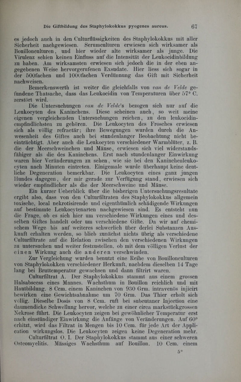 es jedoch auch in den Culturflüssigkeiten des Staphylokokkus mit aller Sicherheit nachgewiesen. Serumculturen erwiesen sich wirksamer als Bouillonculturen, und hier wieder alte wirksamer als junge. Die Virulenz schien keinen Einfluss auf die Intensität der Leukocidinbildung zu haben. Am wirksamsten erwiesen sich jedoch die in der eben an- gegebenen Weise hervorgerufenen Exsudate. Hier Hess sich sogar in der öOOfachen und lOOOfachen Verdünnung das Gift mit Sicherheit nach weisen. Bemerkenswerth ist weiter die gleichfalls von van de Velde ge- fundene Thatsache, dass das Leukocidin von Temperaturen über 57° C. zerstört wird. Die Untersuchungen van de Velde’s bezogen sich nur auf die Leukocyten des Kaninchens. Diese scheinen auch, so weit meine eigenen vergleichenden Untersuchungen reichen, zu den leukocidin- empfindlichsten zu gehören. Die Leukocyten des Frosches erwiesen sich als völlig refractär; ihre Bewegungen wurden durch die An- wesenheit des Giftes auch bei stundenlanger Beobachtung nicht be- einträchtigt. Aber auch die Leukocyten verschiedener Warmblüter, z. B. die der Meerschweinchen und Mäuse, erwiesen sich viel widerstands- fähiger als die des Kaninchens. Erst nach stundenlanger Einwirkung waren hier Veränderungen zu sehen, wie sie bei den Kaninchenleuko- cyten nach Minuten eintreten. Einigemale wurde überhaupt keine deut- liche Degeneration bemerkbar. Die Leukocyten eines ganz jungen 1 lundes dagegen, der mir gerade zur Verfügung stand, erwiesen sich wieder empfindlicher als die der Meerschweine und Mäuse. Ein kurzer Ueberblick über die bisherigen Untersuchungsresultate ergibt also, dass von den Culturfiltraten des Staphylokokkus allgemein toxische, local nekrotisirende und eigenthümlich schädigende Wirkungen auf bestimmte Leukocytenarten nachgewiesen sind. Es entsteht nun die Frage, ob es sich hier um verschiedene Wirkungen eines und des- selben Giftes handelt oder um verschiedene Gifte. Da wir auf chemi- schem Wege bis auf weiteres schwerlich über derlei Substanzen Aus- kunft erhalten werden, so blieb zunächst nichts übrig als verschiedene Culturfiltrate auf die Relation zwischen den verschiedenen Wirkungen zu untersuchen und weiter festzustellen, ob mit dem völligen Verlust der einen Wirkung auch die anderen verschwinden. Zur Vergleichung wurden benutzt eine Reihe von Bouillonculturen von Staphylokokken verschiedener Herkunft, nachdem dieselben 14 Tage lang bei Bruttemperatur gewachsen und dann filtrirt waren. Culturfiltrat A. Der Staphylokokkus stammt aus einem grossen Halsabscess eines Mannes. Wachstimm in Bouillon reichlich und mit Hautbildung. 8 Ccm. einem Kaninchen von 960 Grm. intravenös injicirt bewirken eine Gewichtsabnahme um 70 Grm. Das Thier erholt sich völlig. Dieselbe Dosis von 8 Ccm. ruft bei subcutaner Injection eine daumendicke Schwellung hervor, welche zu einer circa markstückgrossen Nekrose führt. Die Leukocyten zeigen bei gewöhnlicher Temperatur erst nach einstündiger Einwirkung die Anfänge von Veränderungen. Auf 60° erhitzt, wird das Filtrat in Mengen bis 10 Ccm. für jede Art der Appli- cation wirkungslos. Die Leukocyten zeigen keine Degeneration mehr. Culturfiltrat 0. I. Der Staphylokokkus stammt aus einer schweren Osteomyelitis. Mässiges Wachsthum auf Bouillon. 10 Ccm. einem