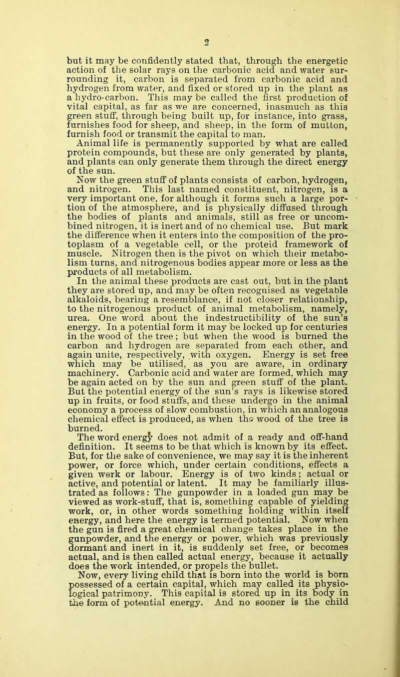 but it may be confidently stated that, through the energetic action of the solar rays on the carbonic acid and water sur- rounding it, carbon is separated from carbonic acid and hydrogen from water, and fixed or stored up in the plant as a hydro-carbon. This may be called the first production of vital capital, as far as we are concerned, inasmuch as this green stuff, through being built up, for instance, into grass, furnishes food for sheep, and sheep, in the form of mutton, furnish food or transmit the capital to man. Animal life is permanently supported by what are called protein compounds, but these are only generated by plants, and plants can only generate them through the direct energy of the sun. Now the green stuff of plants consists of carbon, hydrogen, and nitrogen. This last named constituent, nitrogen, is a very important one, for although it forms such a large por- tion of the atmosphere, and is physically diffused through the bodies of plants and animals, still as free or uncom- bined nitrogen, it is inert and of no chemical use. But mark the difference when it enters into the composition of the pro- toplasm of a vegetable cell, or the proteid framework of muscle. Nitrogen then is the pivot on which their metabo- lism turns, and nitrogenous bodies appear more or less as the products of all metabolism. In the animal these products are cast out, but in the plant they are stored up, and may be often recognised as vegetable alkaloids, bearing a resemblance, if not closer relationship, to the nitrogenous product of animal metabolism, namely, urea. One word about the indestructibility of the sun’s energy. In a potential form it may be locked up for centuries in the wood of the tree; but when the wood is burned the carbon and hydrogen are separated from each other, and again unite, respectively, with oxygen. Energy is set free which may be utilised, as you are aware, in ordinary machinery. Carbonic acid and water are formed, which may be again acted on by the sun and green stuff of the plant. But the potential energy of the sun’s rays is likewise stored up in fruits, or food stuffs, and these undergo in the animal economy a process of slow combustion, in which an analogous chemical effect is produced, as when the wood of the tree is burned. The word energy does not admit of a ready and off-hand definition. It seems to be that which is known by its effect. But, for the sake of convenience, we may say it is the inherent power, or force which, under certain conditions, effects a given work or labour. Energy is of two kinds; actual or active, and potential or latent. It may be familiarly illus- trated as follows: The gunpowder in a loaded gun may be viewed as work-stuff, that is, something capable of yielding work, or, in other words something holding within itself energy, and here the energy is termed potential. Now when the gun is fired a great chemical change takes place in the gunpowder, and the energy or power, which was previously dormant and inert in it, is suddenly set free, or becomes actual, and is then called actual energy, because it actually does the work intended, or propels the bullet. Now, every living child that is born into the world is born possessed of a certain capital, which may called its physio- logical patrimony. This capital is stored up in its body in the form of potential energy. And no sooner is the child