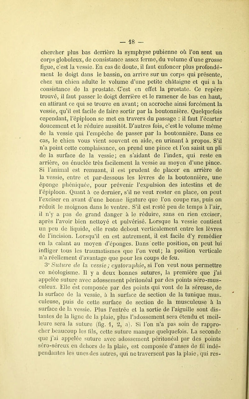 chercher plus bas derrière la symphyse pubienne où l’on sent un corps globuleux, de consistance assez ferme, du volume d’une grosse figue, c’est la vessie. En cas de doute, il faut enfoncer plus profondé- ment le doigt dans le bassin, on arrive sur un corps qui présente, chez un chien adulte le volume d’une petite châtaigne et qui a la consistance de la prostate. C’est en effet la prostate. Ce repère trouvé, il faut passer le doigt derrière et le ramener de bas en haut, en attirant ce qui se trouve en avant; on accroche ainsi forcément la vessie, qu’il est facile de faire sortir par la boutonnière. Quelquefois cependant, l’épiploon se met en travers du passage : il faut l’écarter doucement et le réduire aussitôt. D’autres fois, c’est le volume même de la vessie qui l’empêche de passer par la boutonnière. Dans ce cas, le chien vous vient souvent en aide, en urinant à propos. S’il n’a point cette complaisance, on prend une pince et l’on saisit un pli de la surface de la vessie; en s’aidant de l’index, qui reste en arrière, on énuclée très facilement la vessie au moyen d’une pince. Si l’animal est remuant, il est prudent de placer en arrière de la vessie, entre et par-dessous les lèvres de la boutonnière, une éponge phéniquée, pour prévenir l’expulsion des intestins et de l’épiploon. Quant à ce dernier, s’il ne veut rester en place, on peut l’exciser en avant d’une bonne ligature que l’on coupe ras, puis on réduit le moignon dans le ventre. S’il est resté peu de temps à l’air, il n’y a pas de grand danger à le réduire, sans en rien exciser, après l’avoir bien nettoyé et pulvérisé. Lorsque la vessie contient un peu de liquide, elle reste debout verticalement entre les lèvres de l’incision. Lorsqu’il en est autrement, il est facile d’y remédier en la calant au moyen d’éponges. Dans cette position, on peut lui infliger tous les traumatismes que l’on veut; la position verticale n’a réellement d’avantage que pour les coups de feu. 3 Suture de la vessie; cystoraphie, si l’on veut nous permettre ce néologisme. Il y a deux bonnes sutures, la première que j’ai appelée suture avec adossement péritonéal par des points séro-mus- culeux. Elle est composée par des points qui vont de la séreuse, de la surface de la vessie, à la surface de section de la tunique mus- culeuse, puis de cette surface de section de la musculeuse à la surface de la vessie. Plus l’entrée et la sortie de l’aiguille sont dis- tantes de la ligne de la plaie, plus l’adossement sera étendu et meil- leure sera la suture (fig. 1, 2, a). Si l’on n’a pas soin de rappro- cher beaucoup les fils, cette suture manque quelquefois. La seconde que j’ai appelée suture avec adossement péritonéal par des points séro-séreux en dehors de la plaie, est composée d’anses de fil indé- pendantes les unes des autres, qui ne traversent pas la plaie, qui res-
