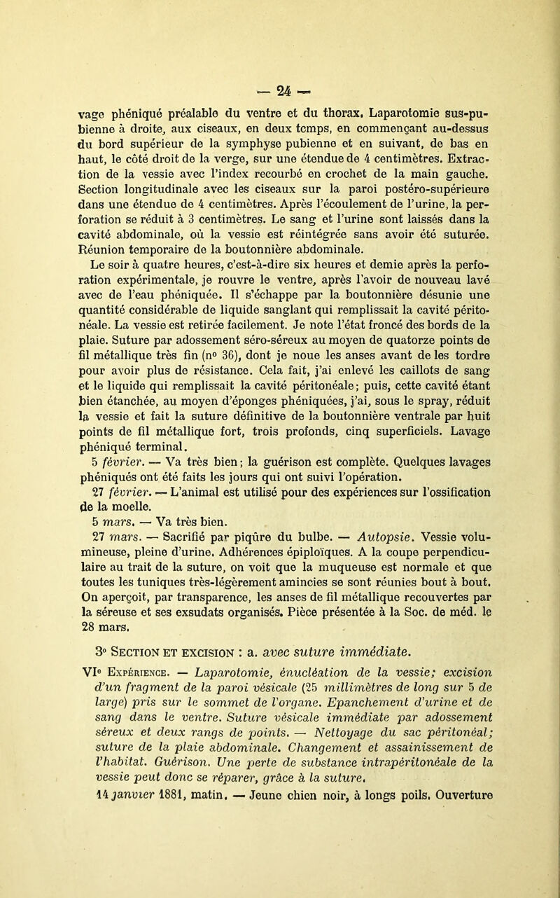vage phéniqué préalable du ventre et du thorax, Laparotomie sus-pu- bienne à droite^ aux ciseaux, en deux temps, en commençant au-dessus du bord supérieur de la symphyse pubienne et en suivant, de bas en haut, le côté droit de la verge, sur une étendue de 4 centimètres. ExtraC' tion de la vessie avec l’index recourbé en crochet de la main gauche. Section longitudinale avec les ciseaux sur la paroi postéro-supérieure dans une étendue de 4 centimètres. Après l’écoulement de l’urine, la per- foration se réduit à 3 centimètres. Le sang et l’urine sont laissés dans la cavité abdominale, où la vessie est réintégrée sans avoir été suturée. Réunion temporaire de la boutonnière abdominale. Le soir à quatre heures, c’est-à-dire six heures et demie après la perfo- ration expérimentale, je rouvre le ventre, après l’avoir de nouveau lavé avec de l’eau phéniquée. Il s’échappe par la boutonnière désunie une quantité considérable de liquide sanglant qui remplissait la cavité périto- néale. La vessie est retirée facilement. Je note l’état froncé des bords de la plaie. Suture par adossement séro-séreux au moyen de quatorze points de fil métallique très fin (n° 36), dont je noue les anses avant de les tordre pour avoir plus de résistance. Cela fait, j’ai enlevé les caillots de sang et le liquide qui remplissait la cavité péritonéale ; puis, cette cavité étant bien étanchée, au moyen d’éponges phéniquées, j’ai, sous le spray, réduit la vessie et fait la suture définitive de la boutonnière ventrale par huit points de fil métallique fort, trois profonds, cinq superficiels. Lavage phéniqué terminal. 5 février. — Va très bien ; la guérison est complète. Quelques lavages phéniqués ont été faits les jours qui ont suivi l’opération. 27 février. — L’animal est utilisé pour des expériences sur l’ossification de la moelle. 5 mars, — Va très bien. 27 mars. — Sacrifié par piqûre du bulbe. — Autopsie. Vessie volu- mineuse, pleine d’urine. Adhérences épiploïques. A la coupe perpendicu- laire au trait de la suture, on voit que la muqueuse est normale et que toutes les tuniques très-légèrement amincies se sont réunies bout à bout. On aperçoit, par transparence, les anses de fil métallique recouvertes par la séreuse et ses exsudais organisés. Pièce présentée à la Soc. de méd. le 28 mars. 3“ Section et excision : a. avec suture immédiate. VI® Expérience. — Laparotomie, énucléation de la vessie; excision d’un fragment de la paroi vésicale (25 millimètres de long sur 5 de large) pris sur le sommet de l'organe. Epanchement d’urine et de sang dans le ventre. Suture vésicale immédiate par adossement séreux et deux rangs de points, — Nettoyage du sac péritonéal; suture de la plaie abdominale. Changement et assainissement de l’habitat. Guérison. Une perte de substance intrapéritonéale de la vessie peut donc se réparer, grâce à la suture, \k janvier 1881, matin. — Jeune chien noir, à longs poils. Ouverture