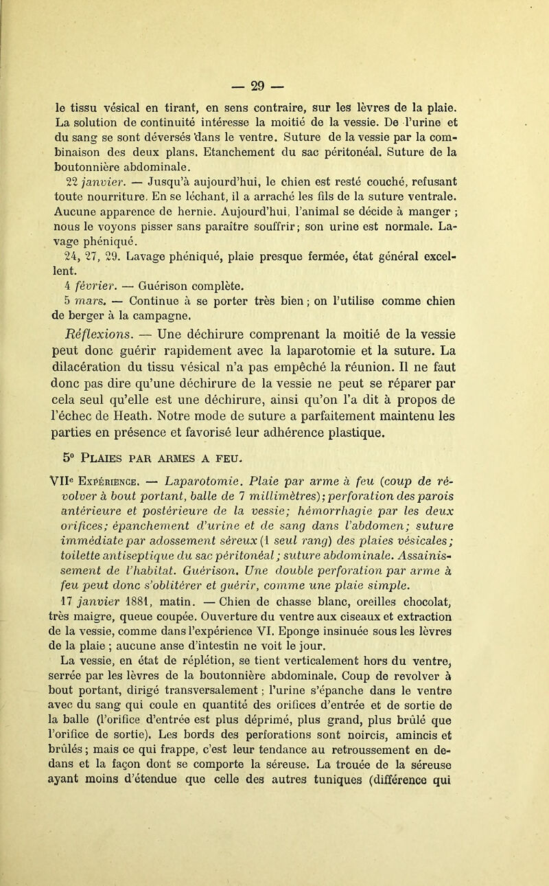 le tissu vésical en tirant, en sens contraire, sur les lèvres de la plaie. La solution de continuité intéresse la moitié de la vessie. De l’urine et du sang se sont déversés 'dans le ventre. Suture de la vessie par la com- binaison des deux plans. Etanchement du sac péritonéal. Suture de la boutonnière abdominale. 22 janvier. — Jusqu’à aujourd’hui, le chien est resté couché, refusant toute nourriture. En se léchant, il a arraché les fils de la suture ventrale. Aucune apparence de hernie. Aujourd’hui, l’animal se décide à manger ; nous le voyons pisser sans paraître souffrir ; son urine est normale. La- vage phéniqué. 24, 27, 29. Lavage phéniqué, plaie presque fermée, état général excel- lent. 4 février. — Guérison complète. 5 mars. — Continue à se porter très bien ; on l’utilise comme chien de berger à la campagne. Réflexions. — Une déchirure comprenant la moitié de la vessie peut donc guérir rapidement avec la laparotomie et la suture. La dilacération du tissu vésical n’a pas empêché la réunion. Il ne faut donc pas dire qu’une déchirure de la vessie ne peut se réparer par cela seul qu’elle est une déchirure, ainsi qu’on l’a dit à propos de l’échec de Heath. Notre mode de suture a parfaitement maintenu les parties en présence et favorisé leur adhérence plastique. 5“ Plaies par armes a feu. VII® Expérience. — Laparotomie. Plaie par arme à feu (coup de ré- volver à bout portant, balle de 7 millimètres) ; per foration des parois antérieure et postérieure de la vessie; hémorrhagie par les deux orifices; épanchement d’urine et de sang dans l’abdomen; suture immédiate par adossement séreux (i seul rang) des plaies vésicales; toilette antiseptique du sac péritonéal ; suture abdominale. Assainis-' sement de Vhabitat. Guérison, Une double perforation par arme à feu peut donc s’oblitérer et guérir, comme une plaie simple. 17 janvier 1881, matin. —Chien de chasse blanc, oreilles chocolat, très maigre, queue coupée. Ouverture du ventre aux ciseaux et extraction de la vessie, comme dans l’expérience VI. Eponge insinuée sous les lèvres de la plaie ; aucune anse d’intestin ne voit le jour. La vessie, en état de réplétion, se tient verticalement hors du ventre, serrée par les lèvres de la boutonnière abdominale. Coup de revolver à bout portant, dirigé transversalement ; l’urine s’épanche dans le ventre avec du sang qui coule en quantité des orifices d’entrée et de sortie de la balle (l’orifice d’entrée est plus déprimé, plus grand, plus brûlé que l’orifice de sortie). Les bords des perforations sont noircis, amincis et brûlés ; mais ce qui frappe, c’est leur tendance au retroussement en de- dans et la façon dont se comporte la séreuse. La trouée de la séreuse ayant moins d’étendue que celle des autres tuniques (différence qui