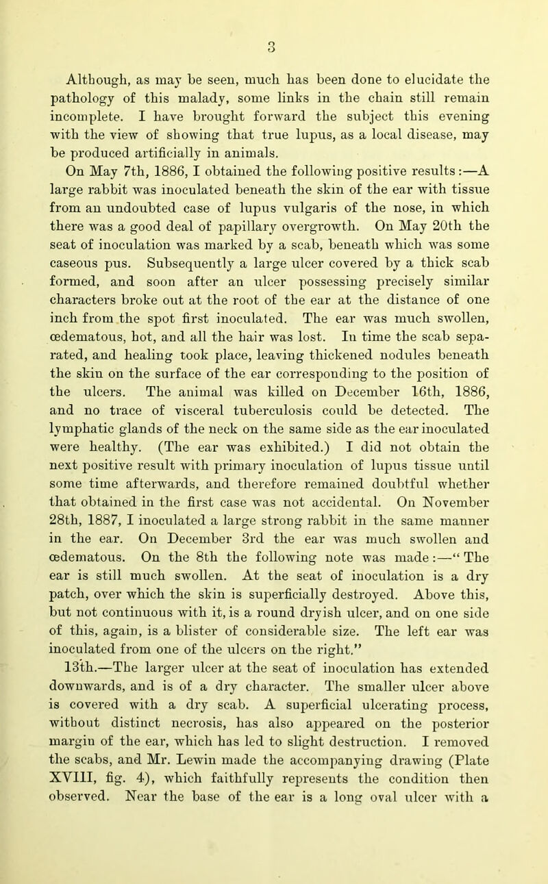 Although, as may be seen, much has been done to elucidate the pathology of this malady, some links in the chain still remain incomplete. I have brought forward the subject this evening with the view of showing that true lupus, as a local disease, may be produced artificially in animals. On May 7th, 1886, I obtained the following positive results:—A large rabbit was inoculated beneath the skin of the ear with tissue from an undoubted case of lupus vulgaris of the nose, in which there was a good deal of papillary overgrowth. On May 20th the seat of inoculation was marked by a scab, beneath which was some caseous pus. Subsequently a large ulcer covered by a thick scab formed, and soon after an ulcer possessing precisely similar characters broke out at the root of the ear at the distance of one inch from the spot first inoculated. The ear was much swollen, cedematous, hot, and all the hair was lost. In time the scab sepa- rated, and healing took place, leaving thickened nodules beneath the skin on the surface of the ear corresponding to the position of the ulcers. The animal was killed on December 16th, 1886, and no trace of visceral tuberculosis could be detected. The lymphatic glands of the neck on the same side as the ear inoculated were healthy. (The ear was exhibited.) I did not obtain the next positive result with primary inoculation of lupus tissue until some time afterwards, and therefore remained doubtful whether that obtained in the first case was not accidental. On November 28th, 1887, I inoculated a large strong rabbit in the same manner in the ear. On December 3rd the ear was much swollen and cedematous. On the 8th the following note was made:—“The ear is still much swollen. At the seat of inoculation is a dry patch, over which the skin is superficially destroyed. Above this, but not continuous with it, is a round dryish ulcer, and on one side of this, again, is a blister of considerable size. The left ear was inoculated from one of the ulcers on the right.” 13th.—The larger ulcer at the seat of inoculation has extended downwards, and is of a dry character. The smaller ulcer above is covered with a dry scab. A superficial ulcerating process, without distinct necrosis, has also appeared on the posterior margin of the ear, which has led to slight destruction. I removed the scabs, and Mr. Lewin made the accompanying drawing (Plate XVIII, fig. 4), which faithfully represents the condition then observed. Near the base of the ear is a long oval ulcer with a