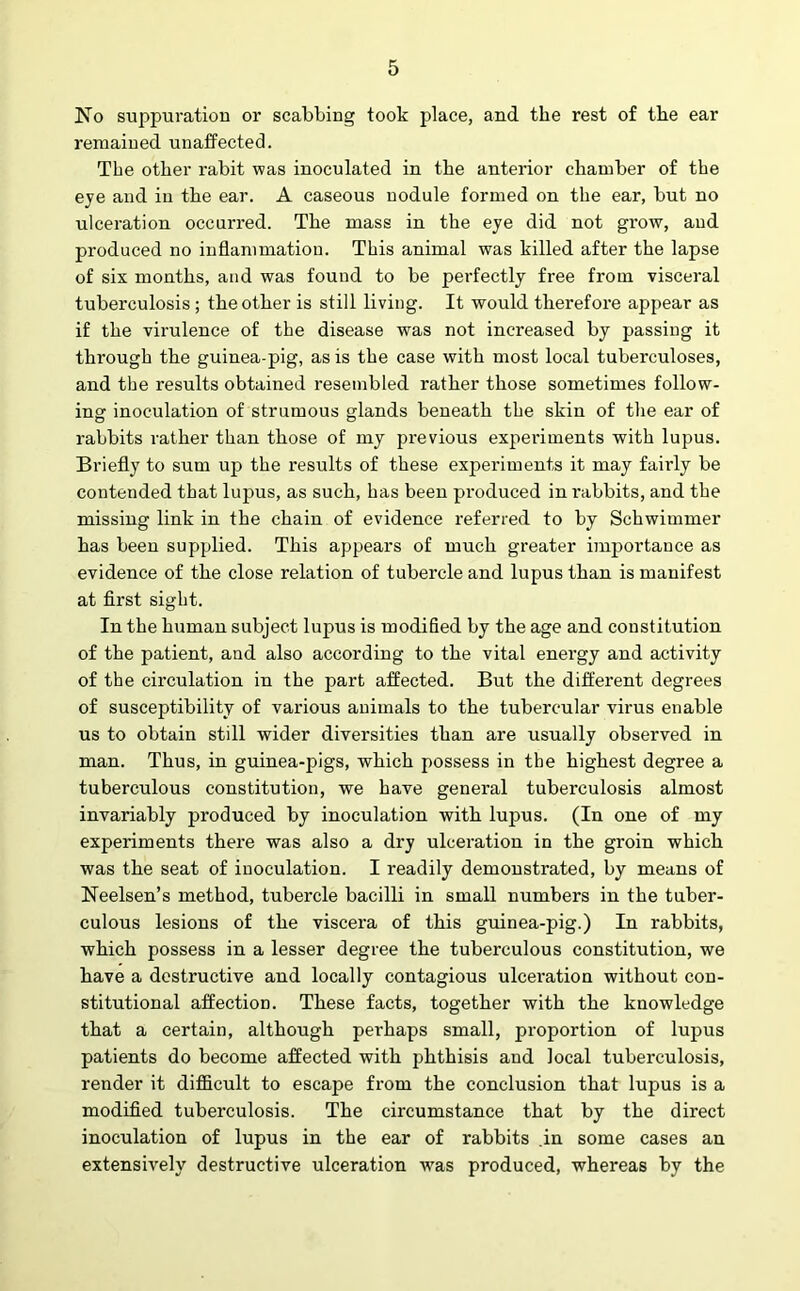 No suppuration or scabbing took place, and the rest of the ear remained unaffected. The other rabit was inoculated in the anterior chamber of the eye and in the ear. A caseous nodule formed on the ear, but no ulceration occurred. The mass in the eye did not gi’ow, and produced no inflammation. This animal was killed after the lapse of six months, and was found to be perfectly free from visceral tuberculosis ; the other is still living. It would therefore appear as if the virulence of the disease was not increased by passing it through the guinea-pig, as is the case with most local tuberculoses, and the results obtained resembled rather those sometimes follow- ing inoculation of strumous glands beneath the skin of the ear of rabbits rather than those of my previous experiments with lupus. Briefly to sum up the results of these experiments it may fairly be contended that lupus, as such, has been produced in rabbits, and the missing link in the chain of evidence referred to by Schwimmer has been supplied. This appears of much greater importance as evidence of the close relation of tubercle and lupus than is manifest at first sight. In the human subject lupus is modified by the age and constitution of the patient, and also according to the vital energy and activity of the circulation in the part affected. But the different degrees of susceptibility of various animals to the tubercular virus enable us to obtain still wider diversities than are usually observed in man. Thus, in guinea-pigs, which possess in the highest degree a tuberculous constitution, we have general tuberculosis almost invariably produced by inoculation with lupus. (In one of my experiments there was also a dry ulceration in the groin which was the seat of inoculation. I readily demonstrated, by means of Neelsen’s method, tubercle bacilli in small numbers in the tuber- culous lesions of the viscera of this guinea-pig.) In rabbits, which possess in a lesser degree the tuberculous constitution, we have a destructive and locally contagious ulceration without con- stitutional affection. These facts, together with the knowledge that a certain, although perhaps small, proportion of lupus patients do become affected with phthisis and local tuberculosis, render it difficult to escape from the conclusion that lupus is a modified tuberculosis. The circumstance that by the direct inoculation of lupus in the ear of rabbits .in some cases an extensively destructive ulceration was produced, whereas by the