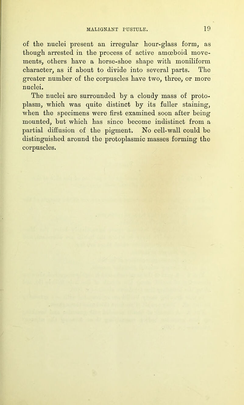 of the nuclei present an irregular hour-glass form, as though arrested in the process of active amoeboid move- ments, others have a horse-shoe shape with moniliform character, as if about to divide into several parts. The greater number of the corpuscles have two, three, or more nuclei. The nuclei are surrounded by a cloudy mass of proto- plasm, which was quite distinct by its fuller staining, when the specimens were first examined soon after being mounted, but which has since become indistinct from a partial diffusion of the pigment. No cell-wall could be distinguished around the protoplasmic masses forming the corpuscles.