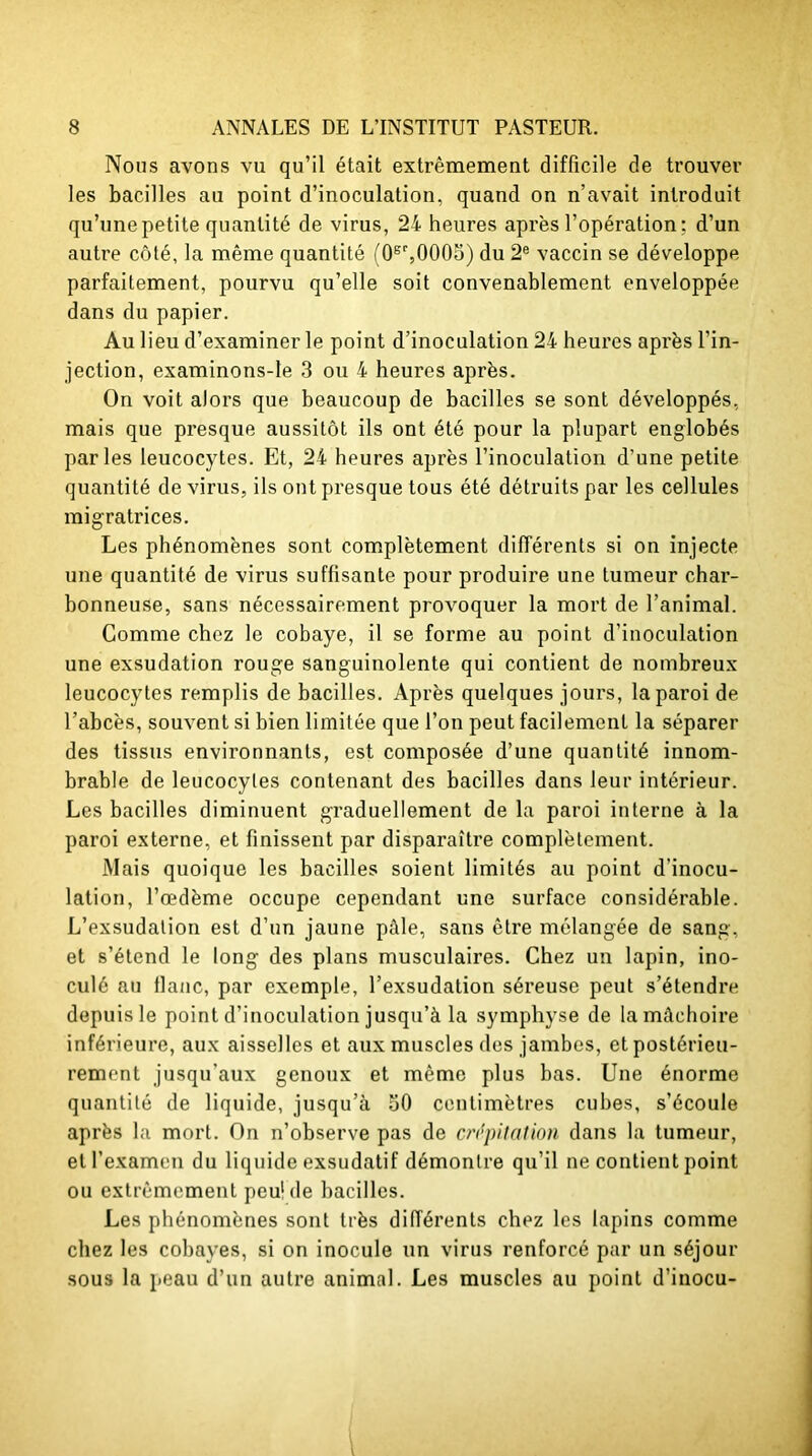 Nous avons vu qu’il était extrêmement difficile de trouver les bacilles au point d’inoculation, quand on n’avait introduit qu’une petite quantité de virus, 24 heures après l’opération: d’un autre côté, la même quantité (0B%0005) du 2e vaccin se développe parfaitement, pourvu qu’elle soit convenablement enveloppée dans du papier. Au lieu d’examiner le point d’inoculation 24 heures après l’in- jection, examinons-le 3 ou 4 heures après. On voit alors que beaucoup de bacilles se sont développés, mais que presque aussitôt ils ont été pour la plupart englobés parles leucocytes. Et, 24 heures après l’inoculation d’une petite quantité de virus, ils out presque tous été détruits par les cellules migratrices. Les phénomènes sont complètement différents si on injecte une quantité de virus suffisante pour produire une tumeur char- bonneuse, sans nécessairement provoquer la mort de l’animal. Comme chez le cobaye, il se forme au point d’inoculation une exsudation rouge sanguinolente qui contient de nombreux leucocytes remplis de bacilles. Après quelques jours, la paroi de l’abcès, souvent si bien limitée que l’on peut facilement la séparer des tissus environnants, est composée d’une quantité innom- brable de leucocytes contenant des bacilles dans leur intérieur. Les bacilles diminuent graduellement de la paroi interne à la paroi externe, et finissent par disparaître complètement. Mais quoique les bacilles soient limités au point d'inocu- lation, l’œdème occupe cependant une surface considérable. L’exsudation est d’un jaune pâle, sans être mélangée de sang, et s’étend le long des plans musculaires. Chez un lapin, ino- culé au ilauc, par exemple, l’exsudation séreuse peut s’étendre depuis le point d’inoculation jusqu’à la symphyse de la mâchoire inférieure, aux aisselles et aux muscles des jambes, et postérieu- rement jusqu’aux genoux et même plus bas. Une énorme quantité de liquide, jusqu’à 50 centimètres cubes, s’écoule après la mort. On n’observe pas de crépitation dans la tumeur, ell’examcu du liquide exsudatif démontre qu’il ne contient point ou extrêmement peu! de bacilles. Les phénomènes sont très différents chez les lapins comme chez les cobayes, si on inocule un virus renforcé par un séjour sous la peau d’un autre animal. Les muscles au point d’inocu-