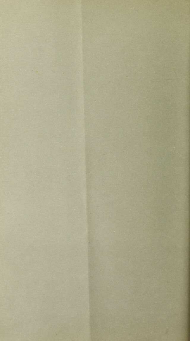 digitised image 2