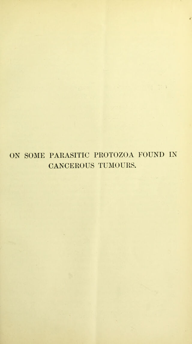 digitised image 3