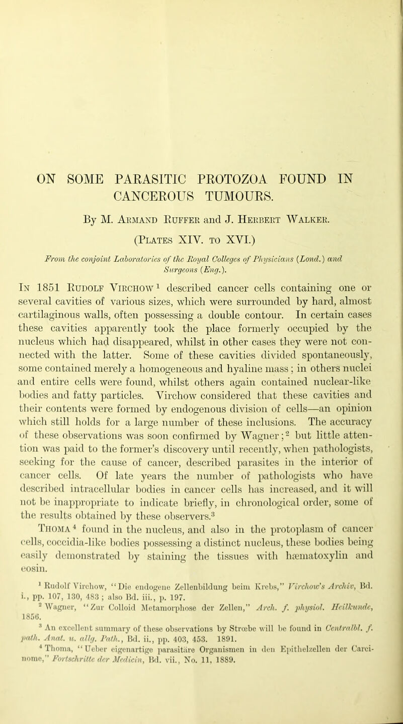 CANCEROUS TUMOURS. By M. Armand Ruffer and J. Herbert Walker. (Plates XIV. to XYI.) From the conjoint Laboratories of the Royal Colleges of Physicians (Land.) and Surgeons (Eng.). In 1851 Rudolf Virchow1 described cancer cells containing one or several cavities of various sizes, which were surrounded by hard, almost cartilaginous walls, often possessing a double contour. In certain cases these cavities apparently took the place formerly occupied by the nucleus which had disappeared, whilst in other cases they were not con- nected with the latter. Some of these cavities divided spontaneously, some contained merely a homogeneous and hyaline mass ; in others nuclei and entire cells were found, whilst others again contained nuclear-like bodies and fatty particles. Virchow considered that these cavities and their contents were formed by endogenous division of cells—an opinion which still holds for a large number of these inclusions. The accuracy of these observations was soon confirmed by Wagner;2 but little atten- tion was paid to the former’s discovery until recently, when pathologists, seeking for the cause of cancer, described parasites in the interior of cancer cells. Of late years the number of pathologists who have desci'ibed intracellular bodies in cancer cells has increased, and it will not be inappropriate to indicate briefly, in chronological order, some of the results obtained by these observers.3 Thoma 4 found in the nucleus, and also in the protoplasm of cancer cells, coccidia-like bodies possessing a distinct nucleus, these bodies being easily demonstrated by staining the tissues with hsematoxylin and eosin. 1 Rudolf Virchow, “Die endogene Zellenbildung beim Krebs,” Virchow's Archiv, lid. i., pp. 107, 130, 483 ; also lid. iii., p. 197. 2 Wagner, “Zur Colloid Metamorphose der Zellcn,” Arch. f. physiol. Ileilkunde, 1856. 1 An excellent summary of these observations by Stroebe will be found in Centralbl. f. path. Anal. u. al/g. Path., Bd. ii., pp. 403, 453. 1891. 4 Thoma, “Ueber eigenartige parasitare Organismcn in den Epithelzellen der Carci-