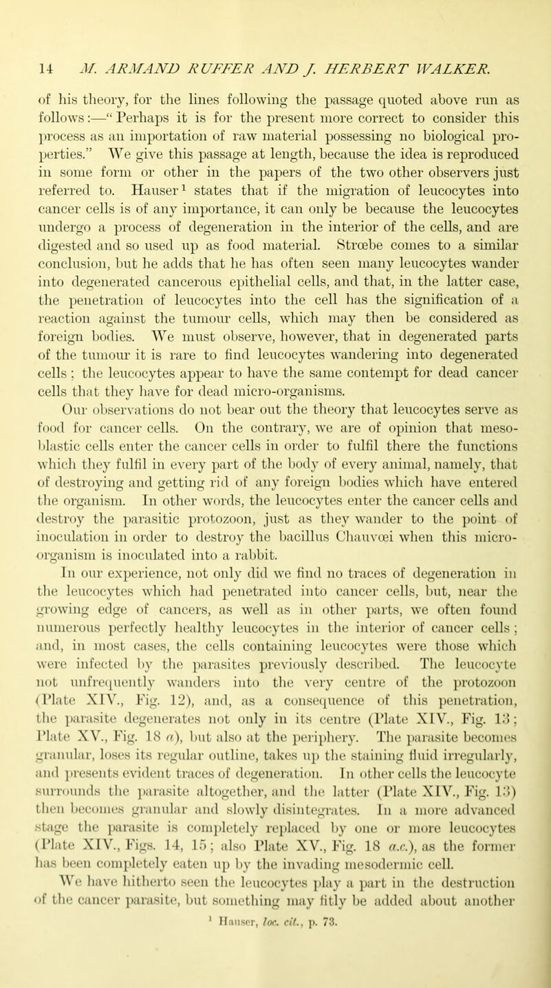 of his theory, for the lines following the passage quoted above run as follows:—“ Perhaps it is for the present more correct to consider this process as an importation of raw material possessing no biological pro- perties.” We give this passage at length, because the idea is reproduced in some form or other in the papers of the two other observers just referred to. Hauser1 states that if the migration of leucocytes into cancer cells is of any importance, it can only be because the leucocytes undergo a process of degeneration in the interior of the cells, and are digested and so used up as food material. Stroebe conies to a similar conclusion, but he adds that he has often seen many leucocytes wander into degenerated cancerous epithelial cells, and that, in the latter case, the penetration of leucocytes into the cell has the signification of a reaction against the tumour cells, which may then be considered as foreign bodies. We must observe, however, that in degenerated parts of the tumour it is rare to find leucocytes wandering into degenerated cells ; the leucocytes appear to have the same contempt for dead cancer cells that they have for dead micro-organisms. Our observations do not bear out the theory that leucocytes serve as food for cancer cells. On the contrary, we are of opinion that meso- blastic cells enter the cancer cells in order to fulfil there the functions which they fulfil in every part of the body of every animal, namely, that of destroying and getting rid of any foreign bodies which have entered the organism. In other words, the leucocytes enter the cancer cells and destroy the parasitic protozoon, just as they wander to the point of inoculation in order to destroy the bacillus Chauvcei when this micro- organism is inoculated into a rabbit. In our experience, not only did we find no traces of degeneration in the leucocytes which had penetrated into cancer cells, hut, near the growing edge of cancers, as well as in other parts, we often found numerous perfectly healthy leucocytes in the interior of cancer cells; and, in most cases, the cells containing leucocytes were those which were infected by the parasites previously described. The leucocyte not unfrequently wanders into the very centre of the protozoon {Plate XIV., Fig. 12), and, as a consequence of this penetration, the parasite degenerates not only in its centre (Plate XIV., Fig. 13; Plate XV., Fig. 18 a), but also at the periphery. The parasite becomes granular, loses its regular outline, takes up the staining fluid irregularly, and presents evident traces of degeneration. In other cells the leucocyte surrounds the parasite altogether, and the latter (Plate XIV., Fig. 13) then becomes granular and slowly disintegrates. In a more advanced stage the parasite is completely replaced by one or more leucocytes (Plate XIV., Figs. 14, 15; also Plate XV., Fig. 18 a.c.), as the former has been completely eaten up by the invading mesodermic cell. We have hitherto seen the leucocytes play a part in the destruction of the cancer parasite, but something may fitly be added about another 1 Hauser, Joe. cit., p. 73.