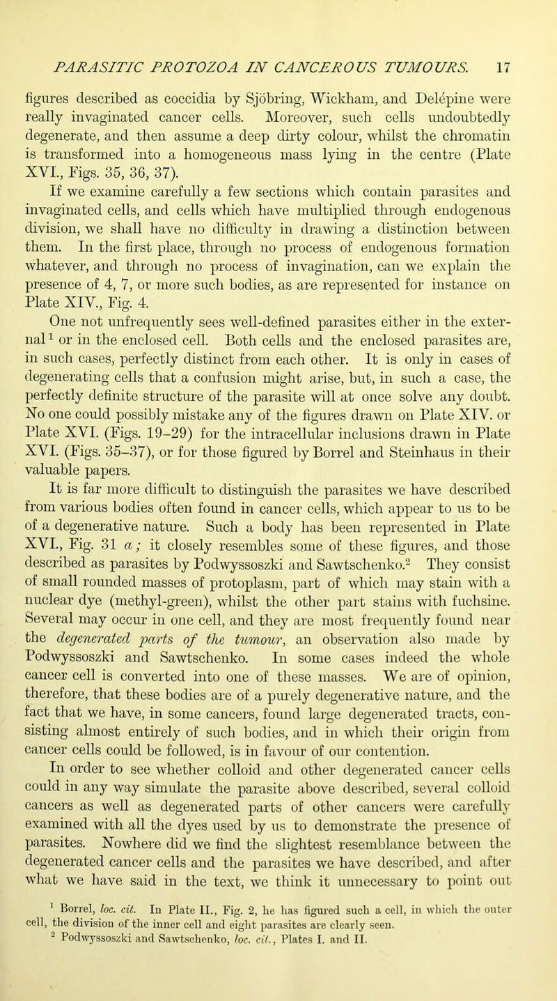 figures described as coccidia by Sjobring, Wickham, and Delepine were really invaginated cancer cells. Moreover, such cells undoubtedly degenerate, and then assume a deep dirty colour, whilst the chromatin is transformed into a homogeneous mass lying in the centre (Plate XVI., Figs. 35, 36, 37). If we examine carefully a few sections which contain parasites and invaginated cells, and cells which have multiplied through endogenous division, we shall have no difficulty in drawing a distinction between them. In the first place, through no process of endogenous formation whatever, and through no process of invagination, can we explain the presence of 4, 7, or more such bodies, as are represented for instance on Plate XIV., Fig. 4. One not unfrequently sees well-defined parasites either in the exter- nal 1 or in the enclosed cell. Both cells and the enclosed parasites are, in such cases, perfectly distinct from each other. It is only in cases of degenerating cells that a confusion might arise, but, in such a case, the perfectly definite structure of the parasite will at once solve any doubt. No one could possibly mistake any of the figures drawn on Plate XIY. or Plate XVI. (Figs. 19-29) for the intracellular inclusions drawn in Plate XVI. (Figs. 35-37), or for those figured by Borrel and Steinhaus in their valuable papers. It is far more difficult to distinguish the parasites we have described from various bodies often found in cancer cells, which appear to us to be of a degenerative nature. Such a body has been represented in Plate XVI., Fig. 31 a; it closely resembles some of these figures, and those described as parasites by Podwyssoszki and Sawtschenko.2 They consist of small rounded masses of protoplasm, part of which may stain with a nuclear dye (methyl-green), whilst the other part stains with fuchsine. Several may occur in one cell, and they are most frequently found near the degenerated parts of the tumour, an observation also made by Podwyssoszki and Sawtschenko. In some cases indeed the whole cancer cell is converted into one of these masses. We are of opinion, therefore, that these bodies are of a purely degenerative nature, and the fact that we have, in some cancers, found large degenerated tracts, con- sisting almost entirely of such bodies, and in which their origin from cancer cells could be followed, is in favour of our contention. In order to see whether colloid and other degenerated cancer cells could in any way simulate the parasite above described, several colloid cancers as well as degenerated parts of other cancers were carefully examined with all the dyes used by us to demonstrate the presence of parasites. Nowhere did we find the slightest resemblance between the degenerated cancer cells and the parasites we have described, and after what we have said in the text, we think it unnecessary to point out 1 Borrel, loc. cit. In Plate II., Fig. 2, he has figured such a cell, in which the outer cell, the division of the inner cell and eight parasites are clearly seen. Podwyssoszki and Sawtschenko, loc. cit., Plates I. and II.