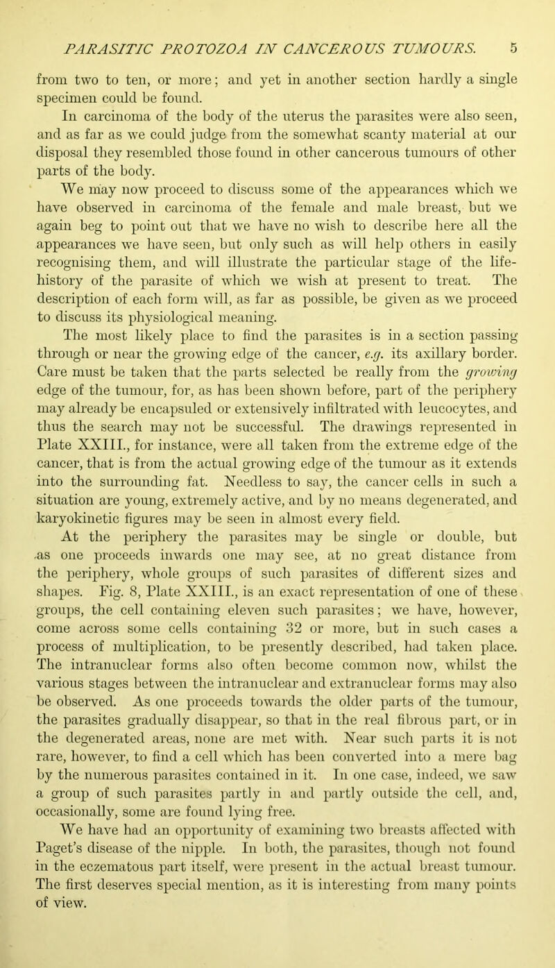 from two to ten, or more; and yet in another section hardly a single specimen could be found. In carcinoma of the body of the uterus the parasites were also seen, and as far as we could judge from the somewhat scanty material at our disposal they resembled those found in other cancerous tumours of other parts of the body. We may now proceed to discuss some of the appearances which we have observed in carcinoma of the female and male breast, but we again beg to point out that we have no wish to describe here all the appearances we have seen, but only such as will help others in easily recognising them, and will illustrate the particular stage of the life- history of the parasite of which we wish at present to treat. The description of each form will, as far as possible, be given as we proceed to discuss its physiological meaning. The most likely place to find the parasites is in a section passing- through or near the growing edge of the cancer, e.g. its axillary border. Care must be taken that the parts selected be really from the grovnng edge of the tumour, for, as has been shown before, part of the periphery may already be encapsuled or extensively infiltrated with leucocytes, and thus the search may not be successful. The drawings represented in Plate XXIII., for instance, were all taken from the extreme edge of the cancer, that is from the actual growing edge of the tumour as it extends into the surrounding fat. Needless to say, the cancer cells in such a situation are young, extremely active, and by no means degenerated, and lcaryokinetic figures may be seen in almost every field. At the periphery the parasites may be single or double, but .as one proceeds inwards one may see, at no great distance from the periphery, whole groups of such parasites of different sizes and shapes. Fig. 8, Plate XXIII., is an exact representation of one of these groups, the cell containing eleven such parasites; we have, however, come across some cells containing 32 or more, but in such cases a process of multiplication, to be presently described, had taken place. The intranuclear forms also often become common now, whilst the various stages between the intranuclear and extranuclear forms may also be observed. As one proceeds towards the older parts of the tumour, the parasites gradually disappear, so that in the real fibrous part, or in the degenerated areas, none are met with. Near such parts it is not rare, however, to find a cell which has been converted into a mere bag by the numerous parasites contained in it. In one case, indeed, we saw a group of such parasites partly in and partly outside the cell, and, occasionally, some are found lying free. We have had an opportunity of examining two breasts affected with Paget’s disease of the nipple. In both, the parasites, though not found in the eczematous part itself, were present in the actual breast tumour. The first deserves special mention, as it is interesting from many points of view.