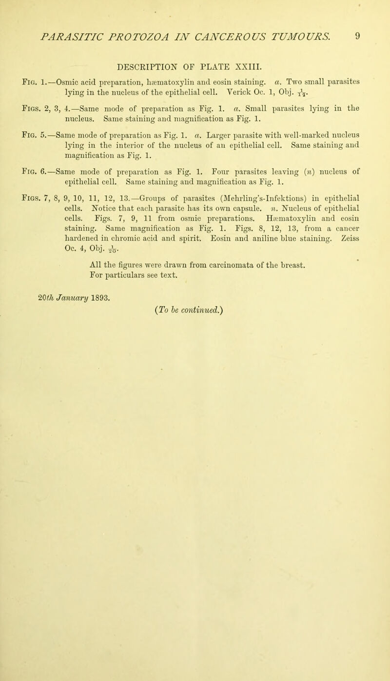 DESCRIPTION OF PLATE XXIII. Fig. 1.—Osmic acid preparation, hiematoxyliii and eosin staining, a. Two small parasites lying in the nucleus of the epithelial cell. Verick Oc. 1, Obj. Figs. 2, 3, 4.—Same mode of preparation as Fig. 1. a. Small parasites lying in the nucleus. Same staining and magnification as Fig. 1. Fig. 5.—Same mode of preparation as Fig. 1. a. Larger parasite with well-marked nucleus lying in the interior of the nucleus of au epithelial cell. Same staining and magnification as Fig. 1. Fig. 6.—Same mode of preparation as Fig. 1. Four parasites leaving (n) nucleus of epithelial cell. Same staining and magnification as Fig. 1. Figs. 7, 8, 9, 10, 11, 12, 13.—Groups of parasites (Mehrling’s-Infektions) in epithelial cells. Notice that each parasite has its own capsule, n. Nucleus of epithelial cells. Figs. 7, 9, 11 from osmic preparations. Hamiatoxylin and eosin staining. Same magnification as Fig. 1. Figs. 8, 12, 13, from a cancer hardened in chromic acid and spirit. Eosin and aniline blue staining. Zeiss Oc. 4, Obj. All the figures were drawn from carcinomata of the breast. For particulars see text. 20th January 1893. (To be continued.)