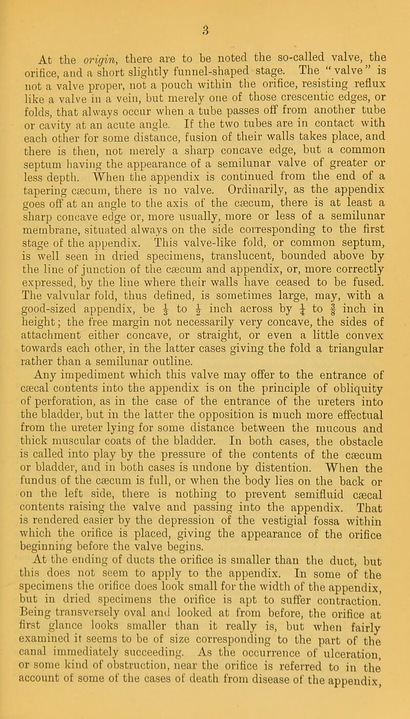 At the origin, there are to be noted the so-called valve, the orifice, and a short slightly funnel-shaped stage. The “ valve ” is not a valve proper, not a pouch within the orifice, resisting reflux like a valve in a vein, but merely one of those crescentic edges, or folds, that always occur when a tube passes off from another tube or cavity at an acute angle. If the two tubes are in contact with each other for some distance, fusion of their walls takes place, and there is then, not merely a sharp concave edge, but a common septum having the appearance of a semilunar valve of greater or less depth. When the appendix is continued from the end of a tapering caecum, there is no valve. Ordinarily, as the appendix goes off at an angle to the axis of the caecum, there is at least a sharp concave edge or, more usually, more or less of a semilunar membrane, situated always on the side corresponding to the first stage of the appendix. This valve-like fold, or common septum, is well seen in dried specimens, translucent, bounded above by the line of junction of the caecum and appendix, or, more correctly expressed, by the line where their walls have ceased to be fused. The valvular fold, thus defined, is sometimes large, may, with a good-sized appendix, be J to \ inch across by | to f inch in height; the free margin not necessarily very concave, the sides of attachment either concave, or straight, or even a little convex towards each other, in the latter cases giving the fold a triangular rather than a semilunar outline. Any impediment which this valve may offer to the entrance of cascal contents into the appendix is on the principle of obliquity of perforation, as in the case of the entrance of the ureters into the bladder, but in the latter the opposition is much more effectual from the ureter lying for some distance between the mucous and thick muscular coats of the bladder. In both cases, the obstacle is called into play by the pressure of the contents of the caecum or bladder, and in both cases is undone by distention. When the fundus of the caecum is full, or when the body lies on the back or on the left side, there is nothing to prevent semifluid caecal contents raising the valve and passing into the appendix. That is rendered easier by the depression of the vestigial fossa within which the orifice is placed, giving the appearance of the orifice beginning before the valve begins. At the ending of ducts the orifice is smaller than the duct, but this does not seem to apply to the appendix. In some of the specimens the orifice does look small for the width of the appendix, but in dried specimens the orifice is apt to suffer contraction. Being transversely oval and looked at from before, the orifice at first glance looks smaller than it really is, but when fairly examined it seems to be of size corresponding to the part of the canal immediately succeeding. As the occurrence of ulceration, or some kind of obstruction, near the orifice is referred to in the account of some of the cases of death from disease of the appendix,