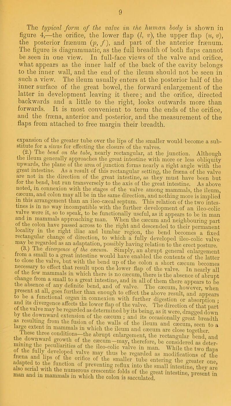 The typical form of the valve in the human body is shown in figure 4,—the orifice, the lower flap (l, v), the upper flap (u, v), the posterior frsenum (p, /), and part of the anterior frsenum. The figure is diagrammatic, as the full breadth of both flaps cannot be seen in one view. In full-face views of the valve and orifice, what appears as the inner half of the back of the cavity belongs to the inner wall, and the end of the ileum should not be seen in such a view. The ileum usually enters at the posterior half of the inner surface of the great bowel, the forward enlargement of the latter in development leaving it there; and the orifice, directed backwards and a little to the right, looks outwards more than forwards. It is most convenient to term the ends of the orifice, and the frsena, anterior and posterior, and the measurement of the flaps from attached to free margin their breadth. expansion of the greater tube over the lips of the smaller would become a sub- stitute for a sinus for effecting the closure of the valves. (2.) The lend on the tube, nearly rectangular, at the junction. Although the ileum generally approaches the great intestine with more or less obliquity upwards, the plane of the area ot junction forms nearly a right angle with the great intestine. As a result of this rectangular setting, the frsena of the valve are not in the direction of the great intestine, as they must have been but for the bend, but run transversely to the axis of the great intestine. As above noted, in connexion with the stages ot the valve among mammals, the ileum, caecum, and colon may all be in the same direction, and nothing more is implied in this arrangement than an ileo-caecal septum. This relation of the two intes- tines is in no way incompatible with the further development of an ileo-colic valve were it, so to speak, to be functionally useful, as it appears to be in man aadm ^ammals approaching man. When the caecum and neighbouring part ol the colon have passed across to the right and descended to their permanent locality in the right iliac and lumbar region, the bend becomes a fixed rectangular change of direction, to which a fully developed ileo-colic valve be regarded as an adaptation, possibly having relation to the erect posture. (6.) 1 he divergence of the ccecum. Simply, an abrupt general enlargement lioiu a small to a great intestine would have enabled the contents of the latter to close the valve, but with the bend up of the colon a short caecum becomes necessary to effect that result upon the lower flap of the valve. In nearly all of the few mammals m which there is no coscum, there is the absence of abrupt change from a small to a great intestine, and in all of them there appears to be the absence of any definite bend, and of valve. The caecum, however, when present at all goes further than enough to effect the above result, and appears to be a functional organ m connexion with further digestion or absorption • of fhl v jTergeT affects1t^e lower flaP of the valve. The direction of tlmt part f ^ e may ',e regarded as determined by its being, as it were, dragged down by the downward extension of the caecum ; and its occasionally great breadth as resultmg from the fusion of the walls of the ileum and caecum, seen to a ‘ rrLs?tWpn niar,la S m+T,whl,cl1 the ileum and cll0cum are close together. ¥ three conditions—the abrupt enlargement, the rectangular bend and the downward growth of the caecum-may, therefore, be considered 2 deter of °‘1 the lle°-,iolic V£flve in man. While the two flaps facna 3il ofl0/w VTVe m*a?itlra8 b,® regarded as modifications of the I ps rof fcbe or>fice o[ tfie smaller tube entering the greater one also!seri;d°with i 011 ° preventm§ reflux “to the small'intestine, they are „ ° n| ■ Wlth lhe numerous crescentic folds of the great intestine present in man and in mammals m which the colon is sacculated. ’ b