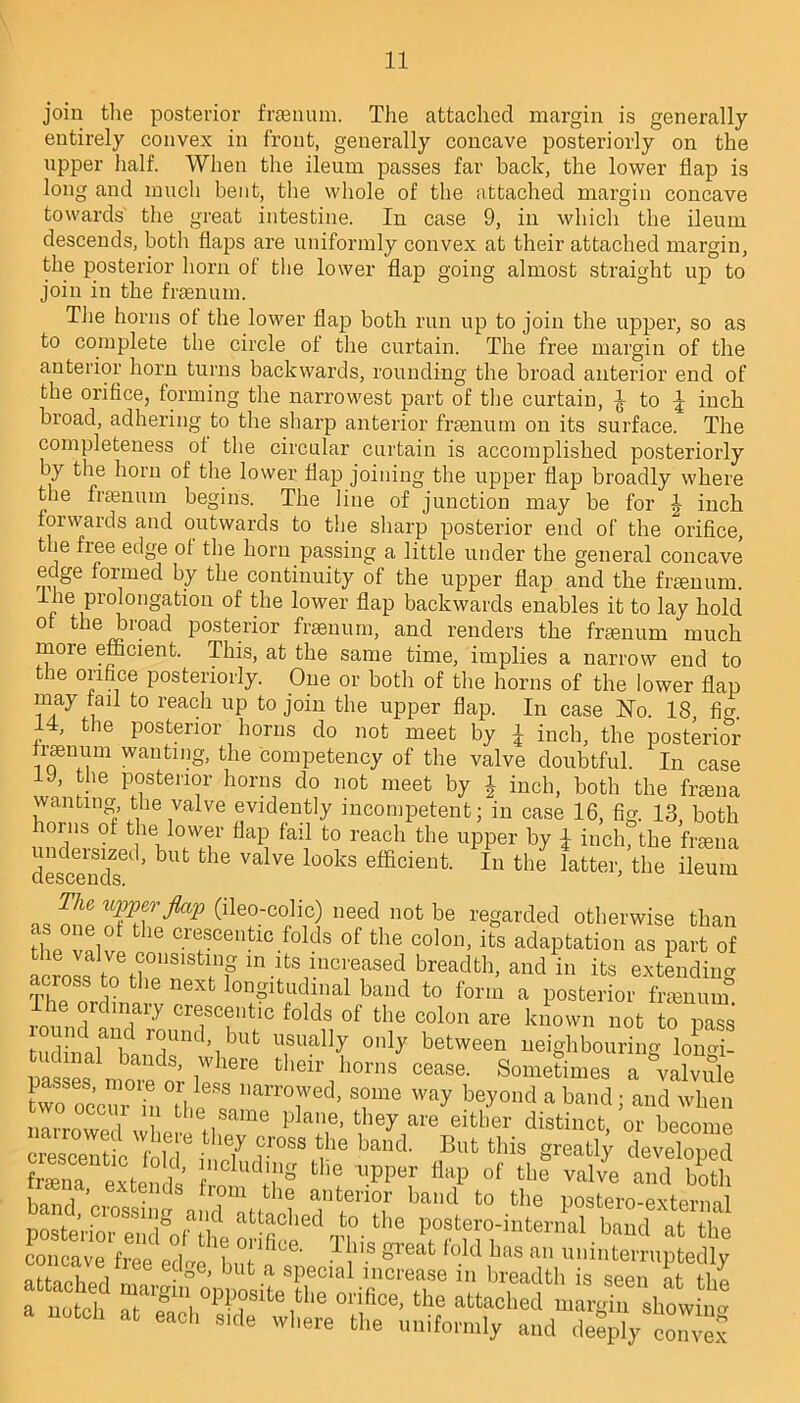 join the posterior fraenum. The attached margin is generally entirely convex in front, generally concave posteriorly on the upper half. When the ileum passes far back, the lower flap is long and much bent, the whole of the attached margin concave towards the great intestine. In case 9, in which the ileum descends, both flaps are uniformly convex at their attached margin, the posterior horn of the lower flap going almost straight up to join in the fraenum. The horns of the lower flap both run up to join the upper, so as to complete the circle of the curtain. The free margin of the anterior horn turns backwards, rounding the broad anterior end of the orifice, forming the narrowest part of the curtain, £ to £ inch broad, adhering to the sharp anterior fraenum on its surface. The completeness of the circular curtain is accomplished posteriorly by the horn of the lower flap joining the upper flap broadly where the fraenum begins. The line of junction may be for 1 inch forwards and outwards to the sharp posterior end of the orifice, the free edge of the horn passing a little under the general concave edge formed by the continuity of the upper flap and the fraenum. Ihe prolongation of the lower flap backwards enables it to lay hold 0 J?i?ad posterior fraenum, and renders the fraenum much more efficient. This, at the same time, implies a narrow end to e orifice posteriorly. One or both of the horns of the lower flap may tail to reach up to join the upper flap. In case No. 18 ficr 14, the posterior horns do not meet by £ inch, the posterior fuenum wanting, the competency of the valve doubtful. In case 19, the posterior horns do not meet by £ inch, both the fraena wanting the valve evidently incompetent; in case 16, fig. 13, both horns of the lower flap fail to reach the upper by \ inch, the fraena de^cendT ’ ^ the Valve looks efficienfc- In the latter, the ileum The upper flap (lleo-colic) need not be regarded otherwise than the valvl I' °Tentic f0lds 0f the C0l01h adaptation as part of across toXT m' lnits increased breadth, and in its extending Tha n ri longitudinal band to form a posterior fraenum The ordinary crescentic folds of the colon are known not to pass  Tnd,ibut usual]y only between neighbouring lonofi- pas es^'n oTetll16 thdr1hom8 cease‘ SomaSmes a \alvule two occur liam\Wed> S°me bey°nd a band; and when nliTowed wL h iiSame plane> theyare eitber distinct, or become crescentic 'fold® J P088,?6 band> But this 8reatly developed fena extendi the upper flap of the valve and both £ ’,,7 d fr?m the anterior band to the postero-external posterior eXnheSedTrthe baud «* _ fl,e edge, but
