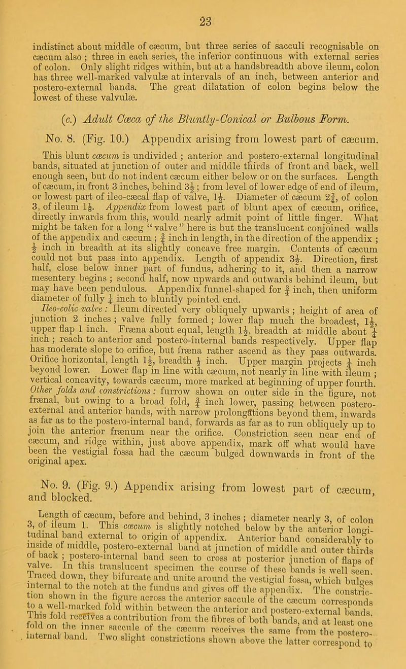 indistinct about middle of caecum, but three series of sacculi recognisable on caecum also ; three in each series, the inferior continuous with external series of colon. Only slight ridges within, but at a handsbreadth above ileum, colon has three well-marked valvulae at intervals of an inch, between anterior and postero-external bands. The great dilatation of colon begins below the lowest of these valvulse. (c.) Adult Cceca of the Bluntly-Conical or Bulbous Form. No. 8. (Fig. 10.) Appendix arising from lowest part of caecum. This blunt caecum is undivided ; anterior and postero-external longitudinal bands, situated at junction of outer and middle thirds of front and back, well enough seen, but do not indent caecum either below or on the surfaces. Length of caecum, in front 3 inches, behind 3 A; from level of lower edge of end of ileum, or lowest part of ileo-caecal flap of valve, lj. Diameter of caecum 2f, of colon 3, of ileum 1£. Appendix from lowest part of blunt apex of caecum, orifice, directly inwards from this, would nearly admit point of little finger. What might be taken for a long “valve” here is but the translucent conjoined walls of the appendix and caecum ; f inch in length, in the direction of the appendix ; i inch in breadth at its slightly concave free margin. Contents of caecum could not but pass into appendix. Length of appendix 3A- Direction, first half, close below inner part of fundus, adhering to it, and then a narrow mesentery begins ; second half, now upwards and outwards behind ileum, but may have been pendulous. Appendix funnel-shaped for f inch, then uniform diameter of fully j- inch to bluntly pointed end. Ileo-colic valve: Ileum directed very obliquely upwards ; height of area of junction 2 inches ; valve fully formed; lower flap much the broadest, lA, upper flap 1 inch. Fraena about equal, length 1|. breadth at middle about i inch ; reach to anterior and postero-internal bands respectively. Upper flap has moderate slope to orifice, but i'raena rather ascend as they pass outwards. Orifice horizontal, length 1A, breadth J inch. Upper margin projects A inch beyond lower. Lower flap in line with caecum, not nearly in line with ilenm ; vertical concavity, towards caecum, more marked at beginning of upper fourth.’ Other folds and constrictions: furrow shown on outer side in the figure not fraenal, but owing to a broad fold, f inch lower, passing between^ postero- external and anterior bands, with narrow prolongations beyond them, inwards as far as to the postero-internal band, forwards as far as to run obliquely up to join the anterior fraenum near the orifice. Constriction seen near end of caecum and ridge within, just above appendix, mark off what would have been the vestigial fossa had the caecum bulged downwards in front of the original apex. No. 9. (Fig. 9.) Appendix arising from lowest part of ctecum and blocked. Length ol csecum, before and behind, 3 inches ; diameter nearly 3, of colon 3, of ileum 1. This ccecum is slightly notched below by the anterior longi- tudinal band external to origin of appendix. Anterior band considerablv°to inside of middle, postero-external band at junction of middle and outer thirds ot back ; postero-internal band seen to cross at posterior junction of flaps of valve In this translucent specimen the course of these'bands is well seen traced down, they bifurcate and mute around the vestigial fossa, which bulges internal to the notch at the fundus and gives off the appendix. The constnc tion shown in the figure across the anterior saccule ol' the caecum corresponds ^r VnK2ed f°ld w’thm between the anterior and postero-external bands f l ! 1‘, kIeC^VUS a contribution irom the fibres of both bands, and at least one n, d on, ,16 saccule of the caecum receives the same from the postero internal band. 1 wo slight constrictions shown above the latter correspond to