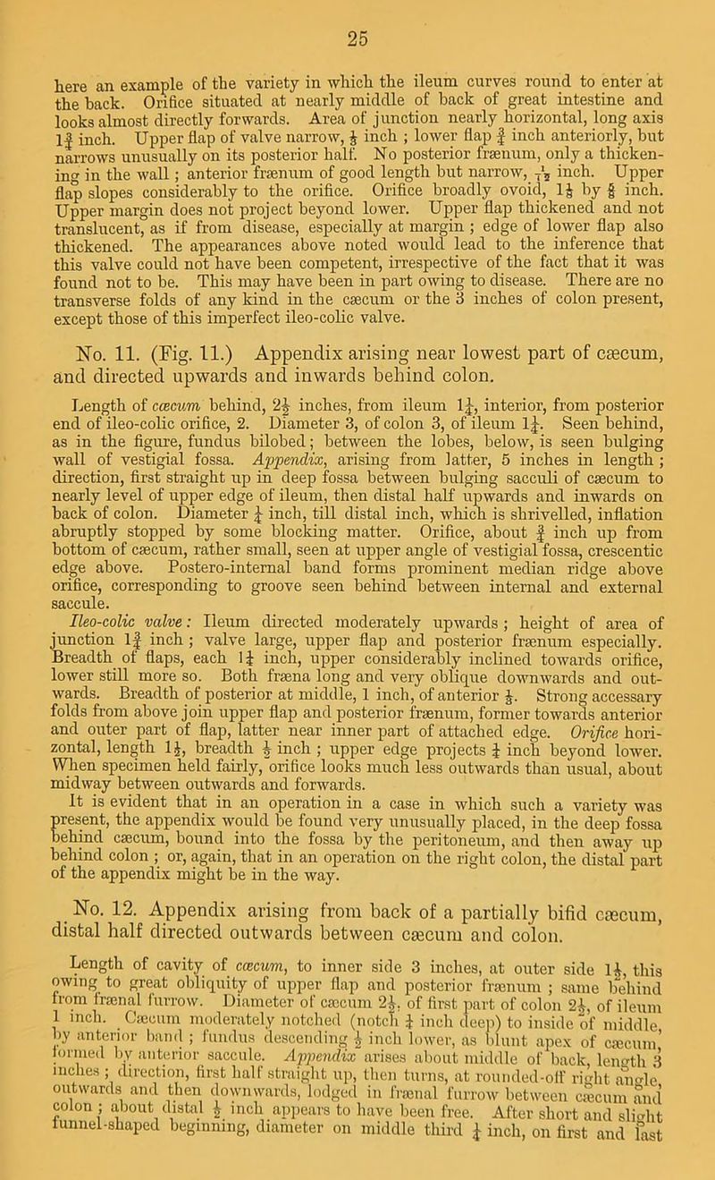here an example of the variety in which the ileum curves round to enter at the back. Orifice situated at nearly middle of back of great intestine and looks almost directly forwards. Area of junction nearly horizontal, long axis If inch. Upper flap of valve narrow, £ inch ; lower flap f inch anteriorly, but narrows unusually on its posterior half. No posterior frsenum, only a thicken- ing in the wall; anterior frsenum of good length but narrow, 7'5 inch. Upper flap slopes considerably to the orifice. Orifice broadly ovoid, 1| by f inch. Upper margin does not project beyond lower. Upper flap thickened and not translucent, as if from disease, especially at margin ; edge of lower flap also thickened. The appearances above noted would lead to the inference that this valve could not have been competent, irrespective of the fact that it was found not to be. This may have been in part owing to disease. There are no transverse folds of any kind in the csecum or the 3 inches of colon present, except those of this imperfect ileo-colic valve. No. 11. (Fig. 11.) Appendix arising near lowest part of csecum, and directed upwards and inwards behind colon. Length of ccecum behind, inches, from ileum 1 j-, interior, from posterior end of ileo-colic orifice, 2. Diameter 3, of colon 3, of ileum lj. Seen behind, as in the figure, fundus bilobed; between the lobes, below, is seen bulging wall of vestigial fossa. Appendix, arising from latter, 5 inches in length ; direction, first straight up in deep fossa between bulging sacculi of csecum to nearly level of upper edge of ileum, then distal half upwards and inwards on back of colon. Diameter J inch, till distal inch, which is shrivelled, inflation abruptly stopped by some blocking matter. Orifice, about f inch up from bottom of csecum, rather small, seen at upper angle of vestigial fossa, crescentic edge above. Postero-internal band forms prominent median ridge above orifice, corresponding to groove seen behind between internal and external saccule. Ileo-colic valve: Ileum directed moderately upwards ; height of area of junction If inch ; valve large, upper flap and posterior frsenum especially. Breadth of flaps, each 11 inch, upper considerably inclined towards orifice, lower still more so. Both frsena long and very oblique downwards and out- wards. Breadth of posterior at middle, 1 inch, of anterior J. Strong accessary folds from above join upper flap and posterior frsenum, former towards anterior and outer part of flap, latter near inner part of attached edge. Orifice hori- zontal, length 1J, breadth h inch ; upper edge projects i inch beyond lower. When specimen held fairly, orifice looks much less outwards than usual, about midway between outwards and forwards. It is evident that in an operation in a case in which such a variety was present, the appendix would be found very unusually placed, in the deep fossa behind csecum, bound into the fossa by the peritoneum, and then away up behind colon ; or, again, that in an operation on the right colon, the distal part of the appendix might be in the way. No. 12. Appendix arising from back of a partially bifid ctecum, distal half directed outwards between caBCum and colon. Length of cavity of ccecum, to inner side 3 inches, at outer side H, this owing to great obliquity of upper flap and posterior frsenum ; same behind trom frsenal furrow. Diameter of csecum 2£, of first part of colon 21, of ileum 1 inch. Csecum moderately notched (notch 1 inch deep) to inside of middle by anterior band ; fundus descending A inch lower, as blunt apex of csecum’ iormeil by anterior saccule. Appendix arises about middle of hack, length 3 inches; direction, first half straight up, then turns, at rounded-oif right angle outwards and then downwards, lodged in frsenal furrow between ciecum and colon ; about distal £ inch appears to have been free. After short and slight tunnel-shaped beginning, diameter on middle third f inch, on first and fast