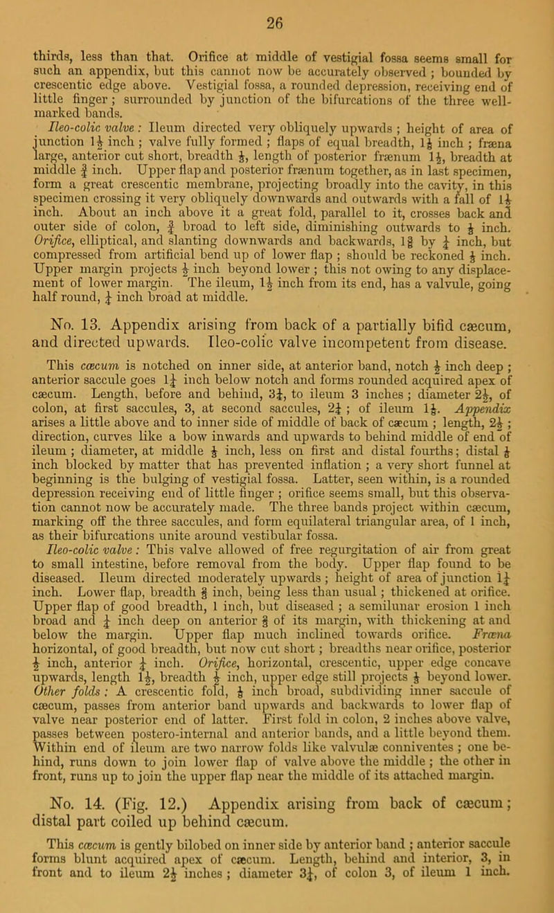 thirds, less than that. Orifice at middle of vestigial fossa seems small for such an appendix, but this cannot now be accurately observed ; bounded bv crescentic edge above. Vestigial fossa, a rounded depression, receiving end of little finger ; surrounded by junction of the bifurcations of the three well- marked bands. Ileo-colic valve: Ileum directed very obliquely upwards ; height of area of junction H inch ; valve fully formed ; flaps of equal breadth, 1| inch ; frsena large, anterior cut short, breadth 4, length of posterior frsenum 14, breadth at middle f inch. Upper flap and posterior fram tun together, as in last specimen, form a great crescentic membrane, projecting broadly into the cavity, in this specimen crossing it very obliquely downwards and outwards with a fall of 14- inch. About an inch above it a great fold, parallel to it, crosses back and outer side of colon, f broad to left side, diminishing outwards to 4 inch. Orifice, elliptical, and slanting downwards and backwards, lg by \ inch, but compressed from artificial bend up of lower flap ; should be reckoned 4 inch. Upper margin projects 4 inch beyond lower ; this not owing to any displace- ment of lower margin. The ileum, 14 inch from its end, has a valvule, going half round, £ inch broad at middle. No. 13. Appendix arising from back of a partially bifid caecum, and directed upwards. Ileo-colic valve incompetent from disease. This ccecum is notched on inner side, at anterior band, notch 4 inch deep ; anterior saccule goes inch below notch and forms rounded acquired apex of csecum. Length, before and behind, 3J, to ileum 3 inches ; diameter 2|, of colon, at first saccules, 3, at second saccules, ; of ileum 14. Appendix arises a little above and to inner side of middle of back of caecum ; length, 24 ; direction, curves like a bow inwards and upwards to behind middle of end of ileum; diameter, at middle 4 inch, less on first and distal fourths; distal 4 inch blocked by matter that has prevented inflation ; a very short funnel at beginning is the bulging of vestigial fossa. Latter, seen within, is a rounded depression receiving end of little linger ; orifice seems small, but this observa- tion cannot now be accurately made. The three bands project within csecum, marking off the three saccules, and form equilateral triangular area, of 1 inch, as their bifurcations unite around vestibular fossa. Ileo-colic valve: This valve allowed of free regurgitation of air from great to small intestine, before removal from the body. Upper flap found to be diseased. Ileum directed moderately upwards ; height of area of junction 1^ inch. Lower flap, breadth § inch, being less than usual; thickened at orifice. Upper flap of good breadth, 1 inch, but diseased ; a semilunar erosion 1 inch broad and j inch deep on anterior § of its margin, with thickening at and below the margin. Upper flap much inclined towards orifice. Franui horizontal, of good breadth, but now cut short; breadths near orifice, posterior 4 inch, anterior 4 inch. Orifice, horizontal, crescentic, upper edge concave upwards, length 14, breadth 4 inch, upper edge still projects 4 beyond lower. Other folds ; A crescentic fold, 4 inch broad, subdividing inner saccule of csecum, passes from anterior band upwards and backwards to lower flap of valve near posterior end of latter. First fold in colon, 2 inches above valve, passes between postero-internal and anterior bands, and a little beyond them. Within end of ileum are two narrow folds like valvulse conniventes ; one be- hind, runs down to join lower flap of valve above the middle ; the other in front, runs up to join the upper flap near the middle of its attached margin. No. 14. (Fig. 12.) Appendix arising from back of ctecum; distal part coiled up behind cajcum. This ccecurn is gently bilobed on inner side by anterior band ; anterior saccule forms blunt acquired apex of csecum. Length, behind and interior, 3, in front and to ileum 24 inches ; diameter 3^, of colon 3, of ileum 1 inch.