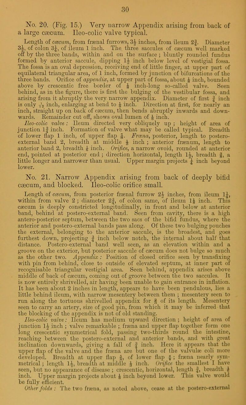 No. 20. (Fig. 15.) Very narrow Appendix arising from back of a large caecum. Ileo-colic valve typical. Length of ccecum, from frsenal furrows, 3& inches, from ileum 2§. Diameter 3|, of colon 3£, of ileum 1 inch. The. three saccules of caecum well marked off by the three bands, within and on the surface ; bluntly rounded fundus formed by anterior saccule, dipping 'll inch below level of vestigial fossa. The fossa is an oval depression, receiving end of little finger, at upper part of equilateral triangular area, of 1 inch, formed by junction of bifurcations of the three bands. Orifice of appendix, at upper part of fossa, about & inch, bounded above by crescentic free border of & inch-long so-called valve. Seen behind, as in the figure, there is first the bulging of the vestibular fossa, and arising from it abruptly the very narrow appendix. Diameter of first f inch is only 7'5 inch, enlarging at bend to | inch. Direction at first, for nearly an inch, straight up on back of caecum, then bends abruptly inwards and down- wards. Remainder cut off, shows oval lumen of J inch. Ileo-colic valve : Ileum directed very obliquely up ; height of area of junction If inch. Formation of valve what may be called typical. Breadth of lower flap 1 inch, of upper flap §. Frcena, posterior, length to postero- external band 2, breadth at middle J inch ; anterior frsenum, length to anterior band 2, breadth £ inch. Orifice, a narrow ovoid, rounded at anterior end, pointed at posterior end ; direction horizontal, length H, breadth |, a little longer and narrower than usual. Upper margin projects inch beyond lower. No. 21. Narrow Appendix arising from back of deeply bifid caecum, and blocked. Ileo-colic orifice small. Length of ccecum, from posterior frsenal furrow 21 inches, from ileum 1|, within from valve 2 ; diameter 2f, of colon same, of ileum inch. This csecum is deeply constricted longitudinally, in front and below at anterior band, behind at postero-external band. Seen from cavity, there is a high antero-posterior septum, between the two sacs of the bifid fundus, where the anterior and postero-external bands pass along. Of these two bulging pouches the external, belonging to the anterior saccule, is the broadest, and goes furthest down, projecting f inch below notch, the internal about half that distance. Postero-external band well seen, as an elevation within and a groove on the exterior, but posterior saccule of csecum does not bulge so much as the other two. Appendix : Position of closed orifice seen by transfixing with pin from behind, close to outside of elevated septum, at inner part of recognisable triangular vestigial area. Seen behind, appendix arises above middle of back of csecum, coming out of groove between the two saccules. It is now entirely shrivelled, air having been unable to gain entrance in inflation. It has been about 2 inches in length, appears to have been pendulous, lies a little behind ileum, witli narrow mesentery between them ; mesentery seen to run along the tortuous shrivelled appendix for § of its length. Mesentery seen to carry an artery, size of good pin, from which it may be inferred that the blocking of the appendix is not of old standing. Ileo-colic valve: Ileum has medium upward direction ; height of area of junction inch ; valve remarkable ; Irani a and upper flap together form one long crescentic symmetrical fold, passing two-thirds round the intestine, reaching between the postero-external and anterior bands, and with great inclination downwards, giving a fall of f inch. Here it appeal's that the upper flap of the valve and the frsena are but one of the valvules coli more developed. Breadth at upper flap §, of lower flap £ ; freena nearly sym- metrical; length 1&, breadth at middle J inch. Orifice the smallest I have seen, but no appearance of disease ; crescentic, horizontal, length £, breadth & inch. Upper margin projects about £ inch beyond lower. This valve would be fully efficient. Other folds : The two frsena, as noted above, cease at the postero-external