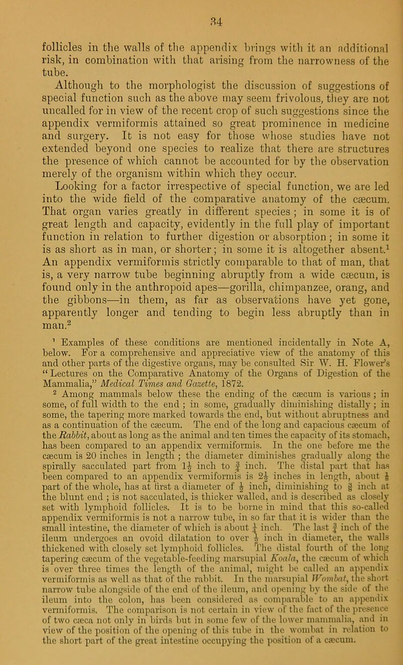 follicles in the walls of the appendix brings with it an additional risk, in combination with that arising from the narrowness of the tube. Although to the morphologist the discussion of suggestions of special function such as the above may seem frivolous, they are not uncalled for in view of the recent crop of such suggestions since the appendix vermiformis attained so great prominence in medicine and surgery. It is not easy for those whose studies have not extended beyond one species to realize that there are structures the presence of which cannot be accounted for by the observation merely of the organism within which they occur. Looking for a factor irrespective of special function, we are led into the wide field of the comparative anatomy of the caecum. That organ varies greatly in different species ; in some it is of great length and capacity, evidently in the full play of important function in relation to further digestion or absorption ; in some it is as short as in man, or shorter; in some it is altogether absent.1 An appendix vermiformis strictly comparable to that of man, that is, a very narrow tube beginning abruptly from a wide csecum, is found only in the anthropoid apes—gorilla, chimpanzee, orang, and the gibbons—in them, as far as observations have yet gone, apparently longer and tending to begin less abruptly than in man.2 1 Examples of these conditions are mentioned incidentally in Note A, below. For a comprehensive and appreciative view of the anatomy of this and other parts of the digestive organs, may he consulted Sir W. H. Flower’s “ Lectures on the Comparative Anatomy of the Organs of Digestion of the Mammalia,” Medical Times and Gazette, 1872. 2 Among mammals below these the ending of the caecum is various; in some, of full width to the end ; in some, gradually diminishing d is tally ; in some, the tapering more marked towards the end, hut without abruptness and as a continuation of the caecum. The end of the long and capacious caecum of the Rabbit, about as long as the animal and ten times the capacity of its stomach, has been compared to an appendix vennihmnis. In the one before me the caecum is 20 inches in length ; the diameter diminishes gradually along the spirally sacculated part from 14 inch to f inch. The distal part that has been compared to an appendix vermiformis is 24 inches in length, about J part of the whole, has at lirst a diameter of 4 inch, diminishing to § inch at the blunt end ; is not sacculated, is thicker walled, and is described as closely set with lymphoid follicles. It is to be borne in mind that this so-called appendix vermiformis is not a narrow tube, in so far that it is wider than the small intestine, the diameter of which is about 1 inch. The last if inch of the ileum undergoes an ovoid dilatation to over 4 inch in diameter, the walls thickened with closely set lymphoid follicles. The distal fourth of the long tapering caecum of the vegetable-feeding marsupial Koala, the caecum of which is over three times the length of the animal, might be called an appendix vermiformis as well as that of the rabbit. In the marsupial Wombat, t he short narrow tube alongside of the end of the ileum, and opening by the side of the ileum into the colon, has been considered as comparable to an appendix vermiformis. The comparison is not certain in view of the fact of the presence of two c:cca not only in birds but in some few of the lower mammalia, and in view of the position of the opening of this tube in the wombat in relation to the short part of the great intestine occupying the position of a caecum.
