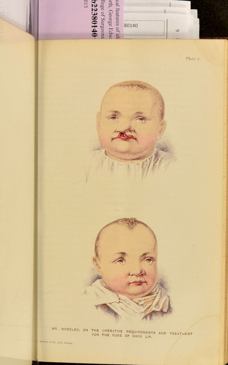 MR. WHEELER, ( *■ Go-nib lii.blii. A PGR THE CURE OF HARE UPTS AN° TREATV