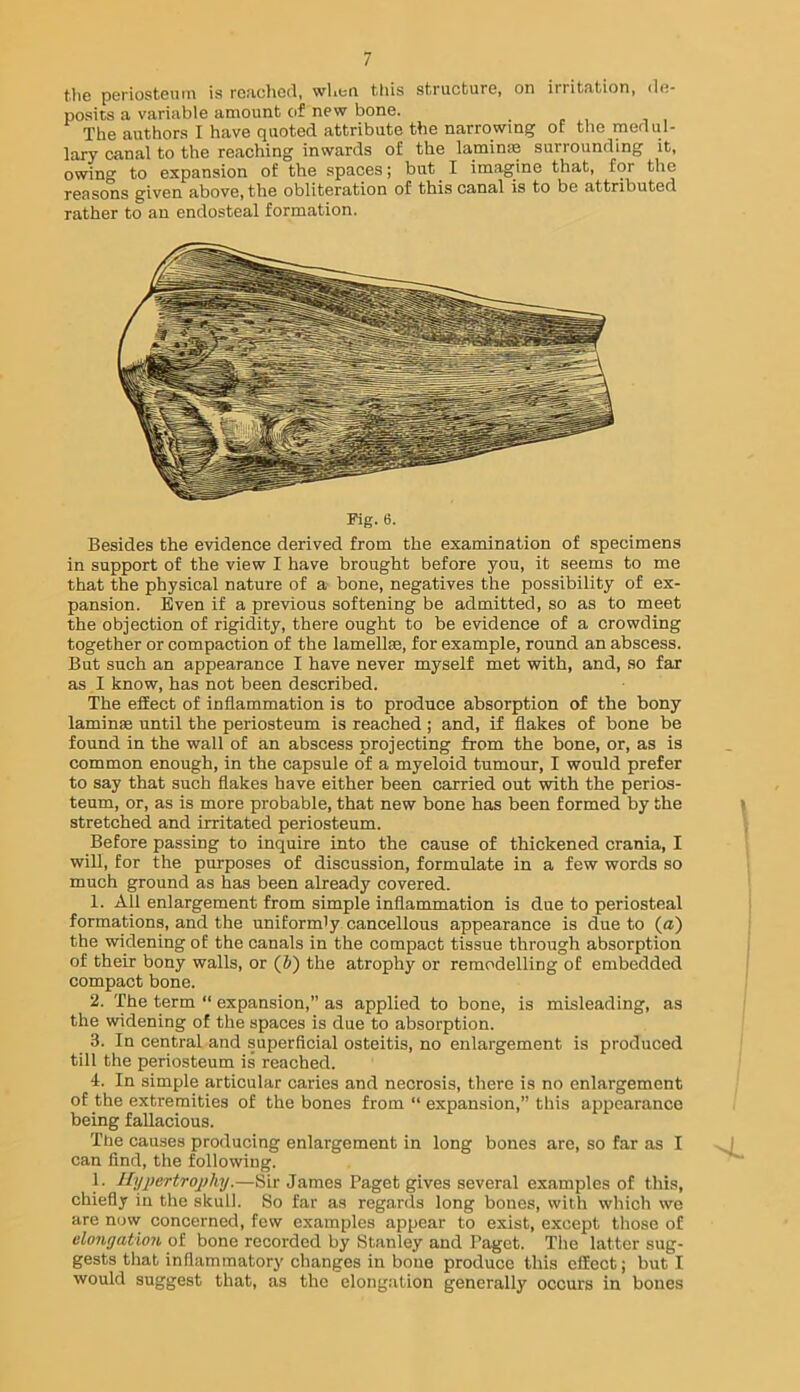 tlie periostGuni ia rcjichcd, wlitn t!iis structure, on irritution, de- posits a variable amount of new bone. The authors I have quoted attribute the narrowing of tlie medul- lary canal to the reaching inwards of the laminae surrounding it, owing to expansion of the spaces; but I imagine that, for the reasons given above, the obliteration of this canal is to be attributed rather to an endosteal formation. Fig. 6. Besides the evidence derived from the examination of specimens in support of the view I have brought before you, it seems to me that the physical nature of a bone, negatives the possibility of ex- pansion. Even if a previous softening be admitted, so as to meet the objection of rigidity, there ought to be evidence of a crowding together or compaction of the lamellse, for example, round an abscess. But such an appearance I have never myself met with, and, so far as I know, has not been described. The effect of inflammation is to produce absorption of the bony laminae until the periosteum is reached ; and, if flakes of bone be found in the wall of an abscess projecting from the bone, or, as is common enough, in the capsule of a myeloid tumour, I would prefer to say that such flakes have either been carried out with the perios- teum, or, as is more probable, that new bone has been formed by the stretched and irritated periosteum. Before passing to inquire into the cause of thickened crania, I will, for the purposes of discussion, formulate in a few words so much ground as has been already covered. 1. All enlargement from simple inflammation is due to periosteal formations, and the uniformly cancellous appearance is due to (a) the widening of the canals in the compact tissue through absorption of their bony walls, or (J) the atrophy or remodelling of embedded compact bone. 2. The term “ expansion,” as applied to bone, is misleading, as the widening of the spaces is due to absorption. 3. In central and superficial osteitis, no enlargement is produced till the periosteum is reached. 4. In simple articular caries and necrosis, there is no enlargement of the extremities of the bones from “ expansion,” this appearance being fallacious. The causes producing enlargement in long bones are, so far as I can find, the following. 1. llypertroplvii.—Sir James Paget gives several examples of this, chiefly in the skull. So far as regards long bones, with which we are now concerned, few examples appear to exist, except those of elongation of bone recorded by Stanley and Paget. The latter sug- gests that inflammatory changes in bone produce this effect; but I would suggest that, as the elongation generally occurs in bones